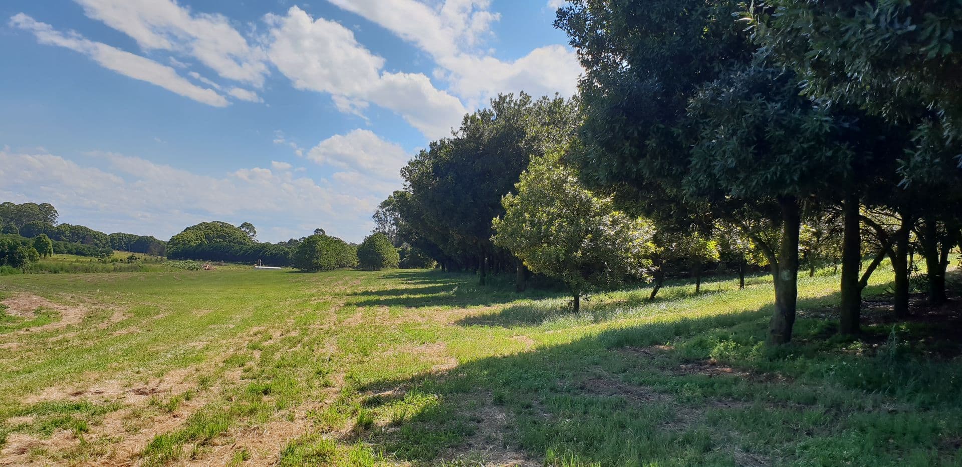 Address Withheld, Wollongbar, NSW, 2477, Wollongbar - Thumbnail 5