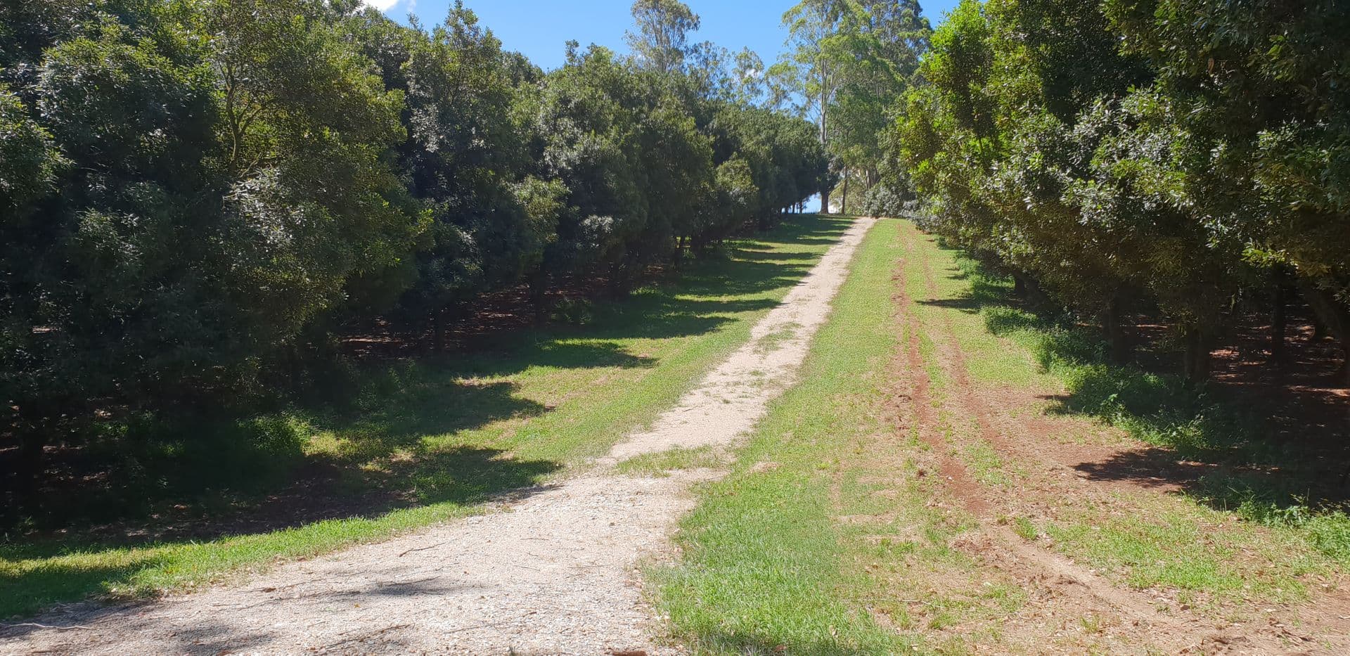Address Withheld, Wollongbar, NSW, 2477, Wollongbar - Image 1