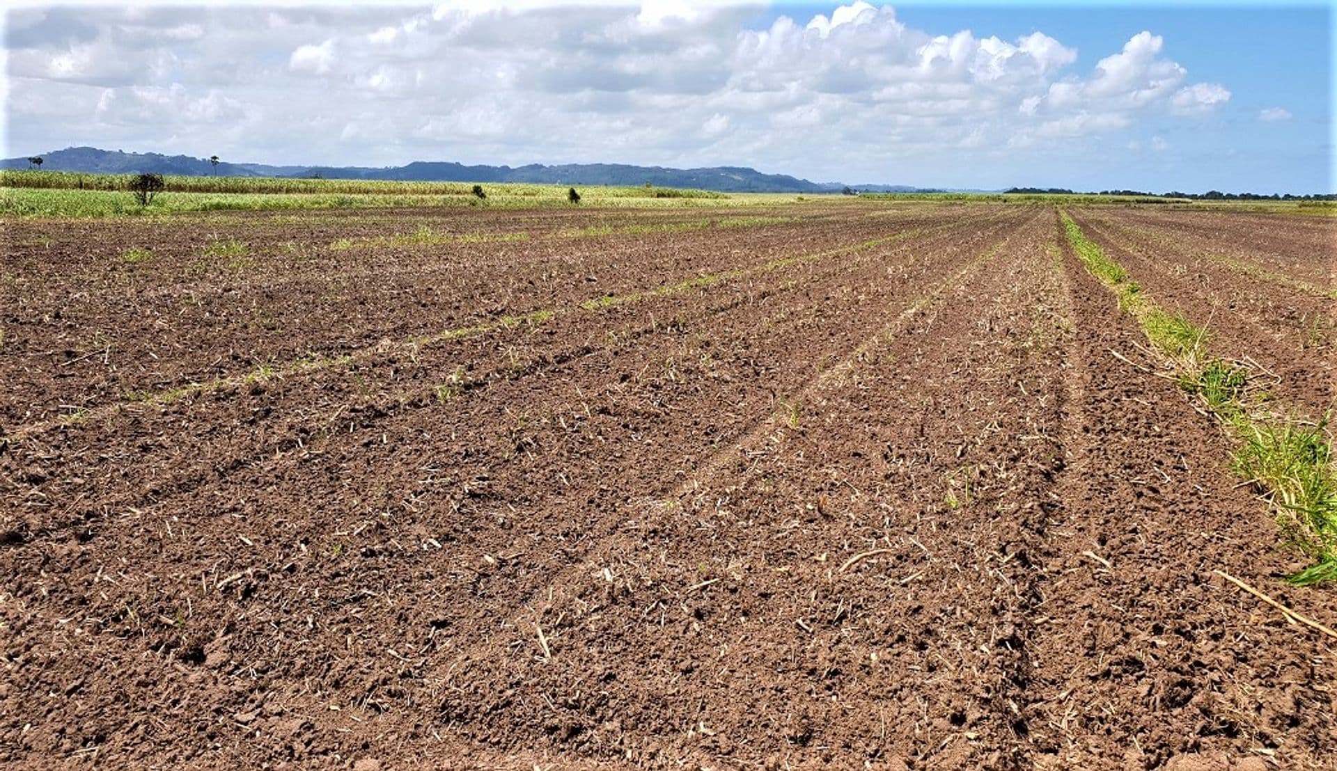Lot 5 Boundary Creek Road, Wardell, NSW, 2477, Wardell - Thumbnail 5