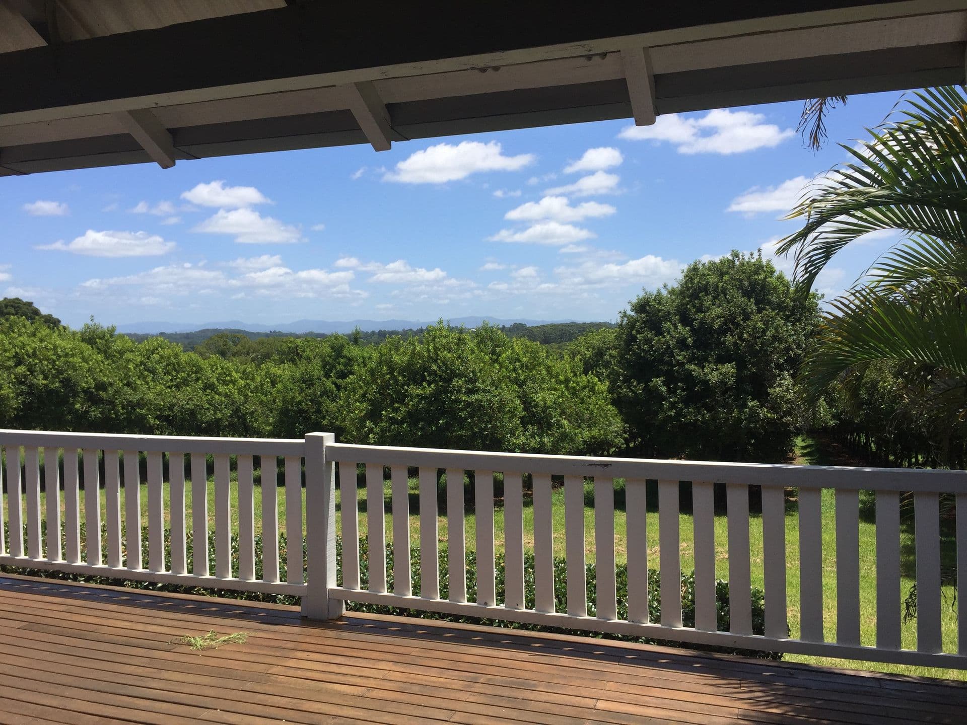 Address Withheld, Rous, NSW, 2477, Rous - Thumbnail 6
