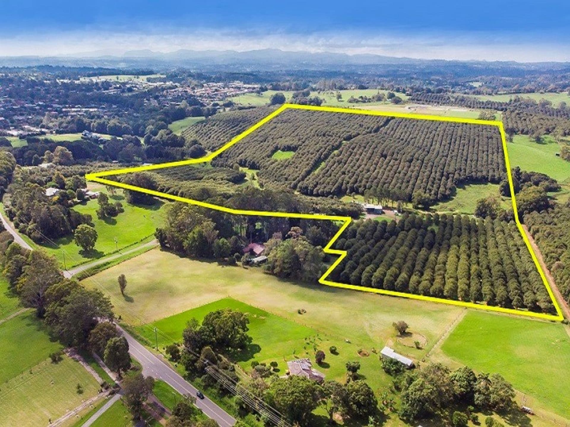 Lots 3 And 4 Frank Street, Alstonville, NSW, 2477, Alstonville - Thumbnail 2