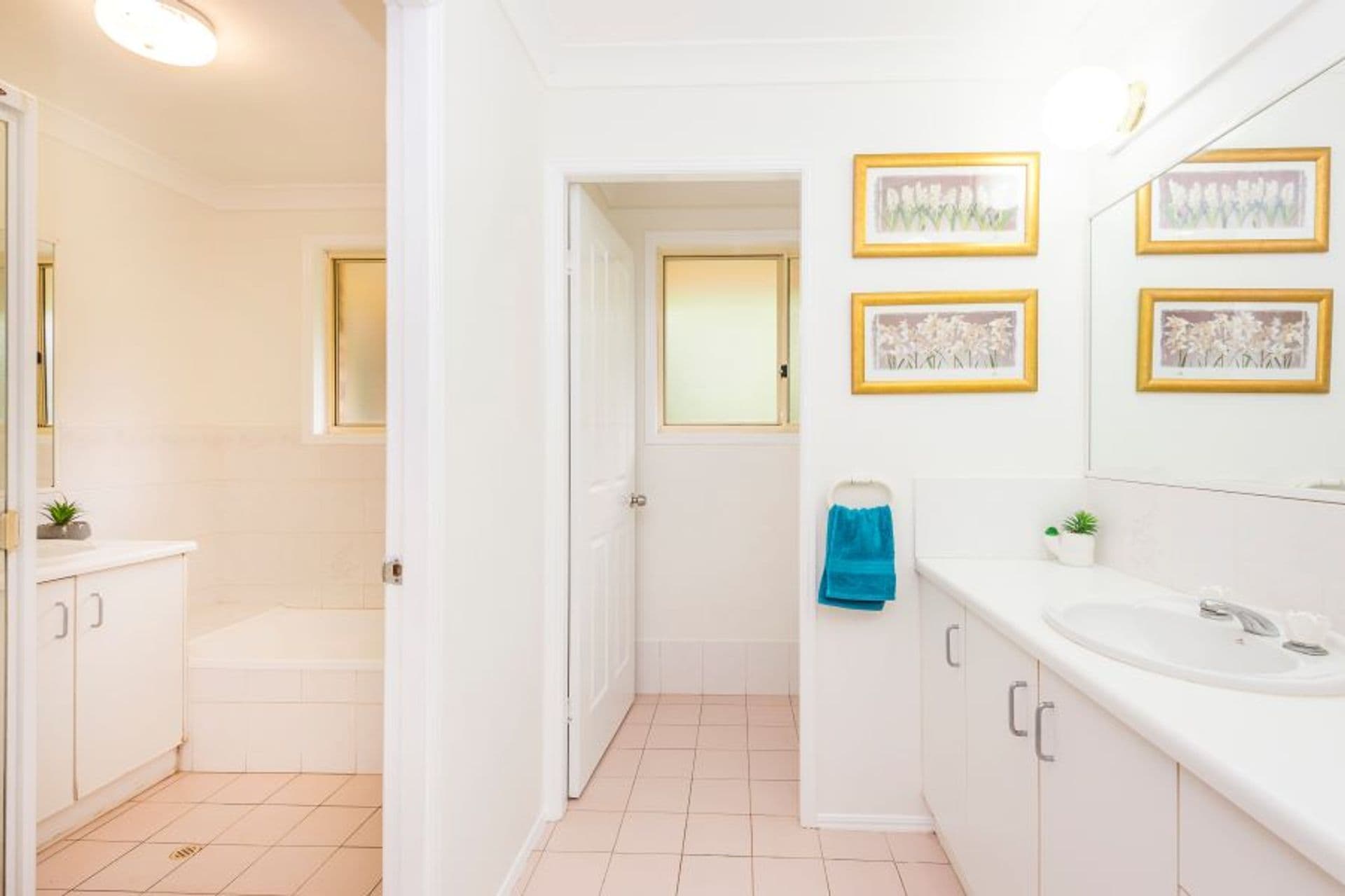 14  Ramses Street, Wollongbar, NSW, 2477, Wollongbar - Thumbnail 8