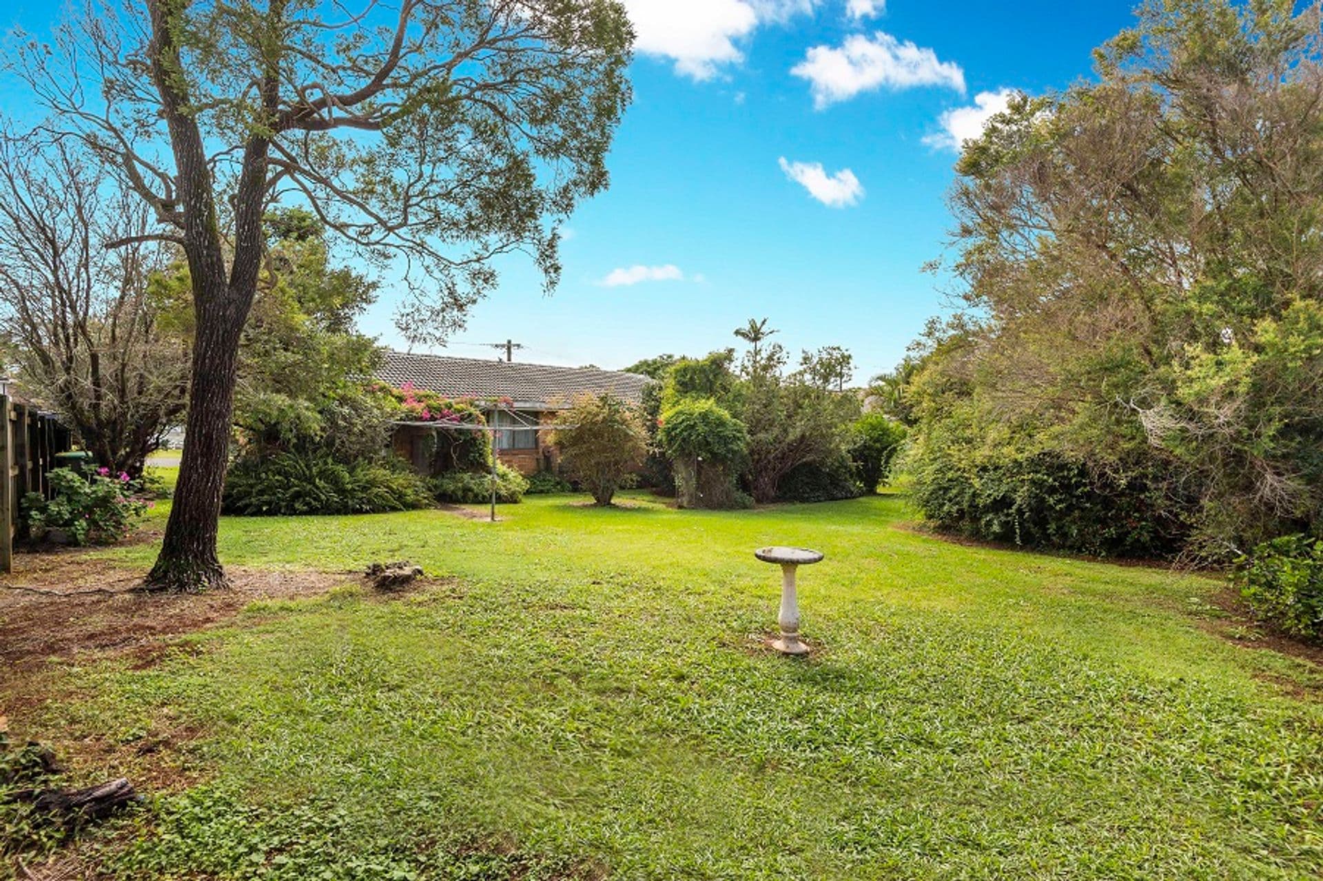 4  Maple Drive, Alstonville, NSW, 2477, Alstonville - Thumbnail 8