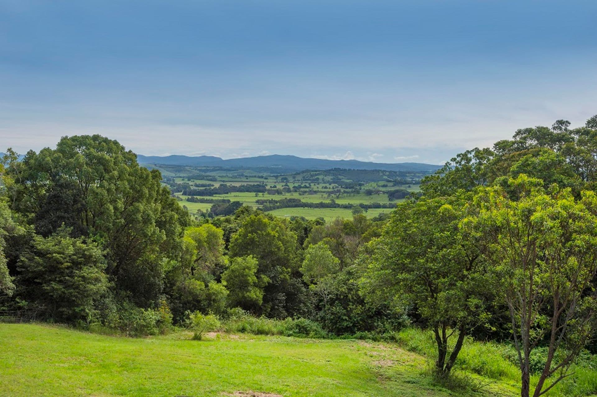 15 Daniel Roberts Drive, McLeans Ridges, NSW, 2480, McLeans Ridges - Thumbnail 7
