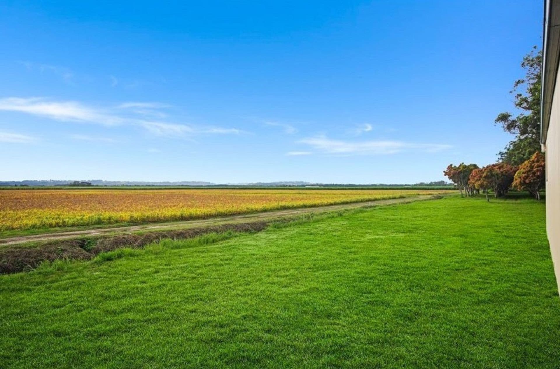 Lot 213 Keith Hall Lane, Keith Hall, NSW, 2478, Keith Hall - Thumbnail 3
