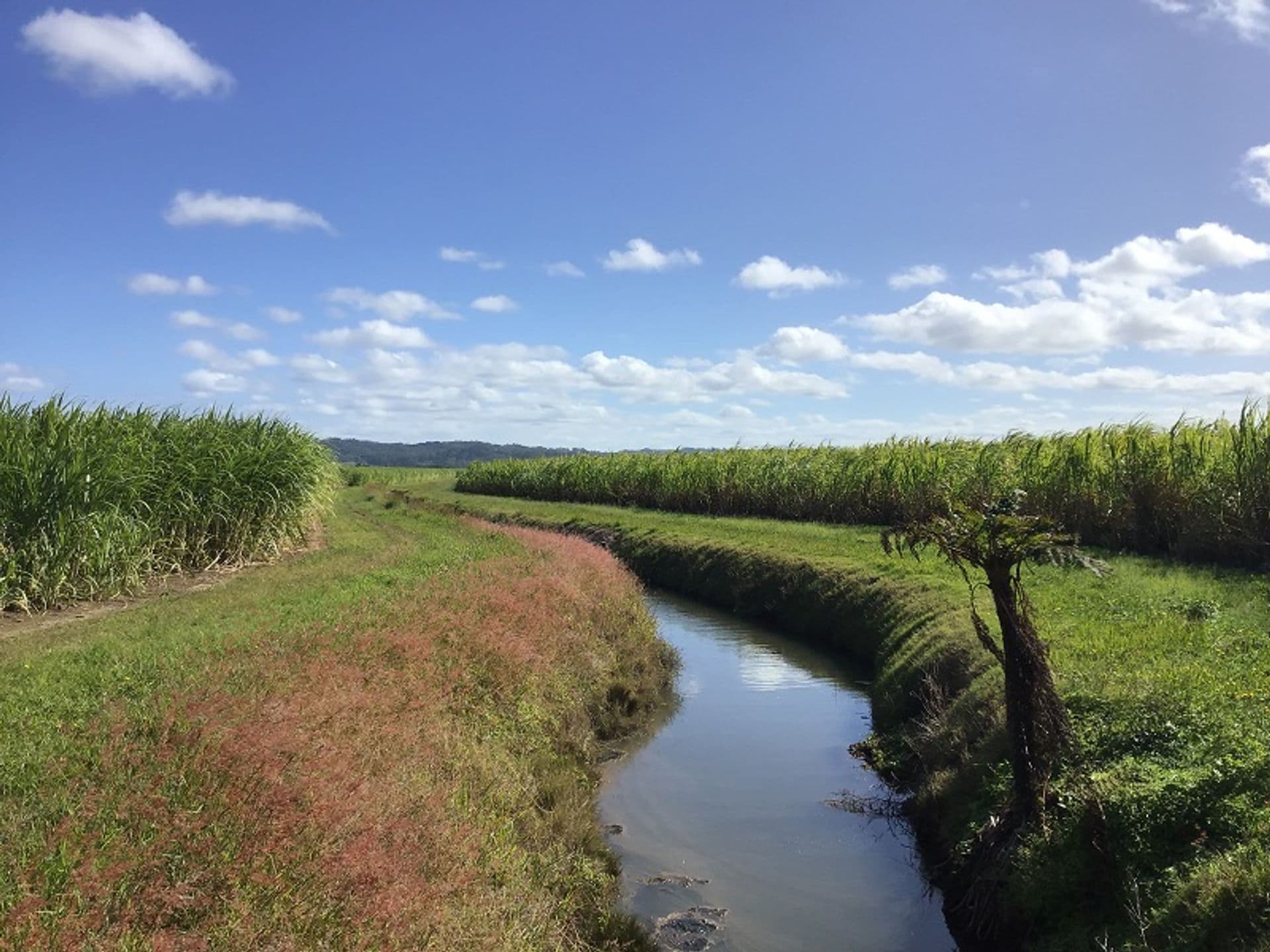 Lot 9 Hermans Lane, Pimlico, NSW, 2478, Pimlico - Thumbnail 3