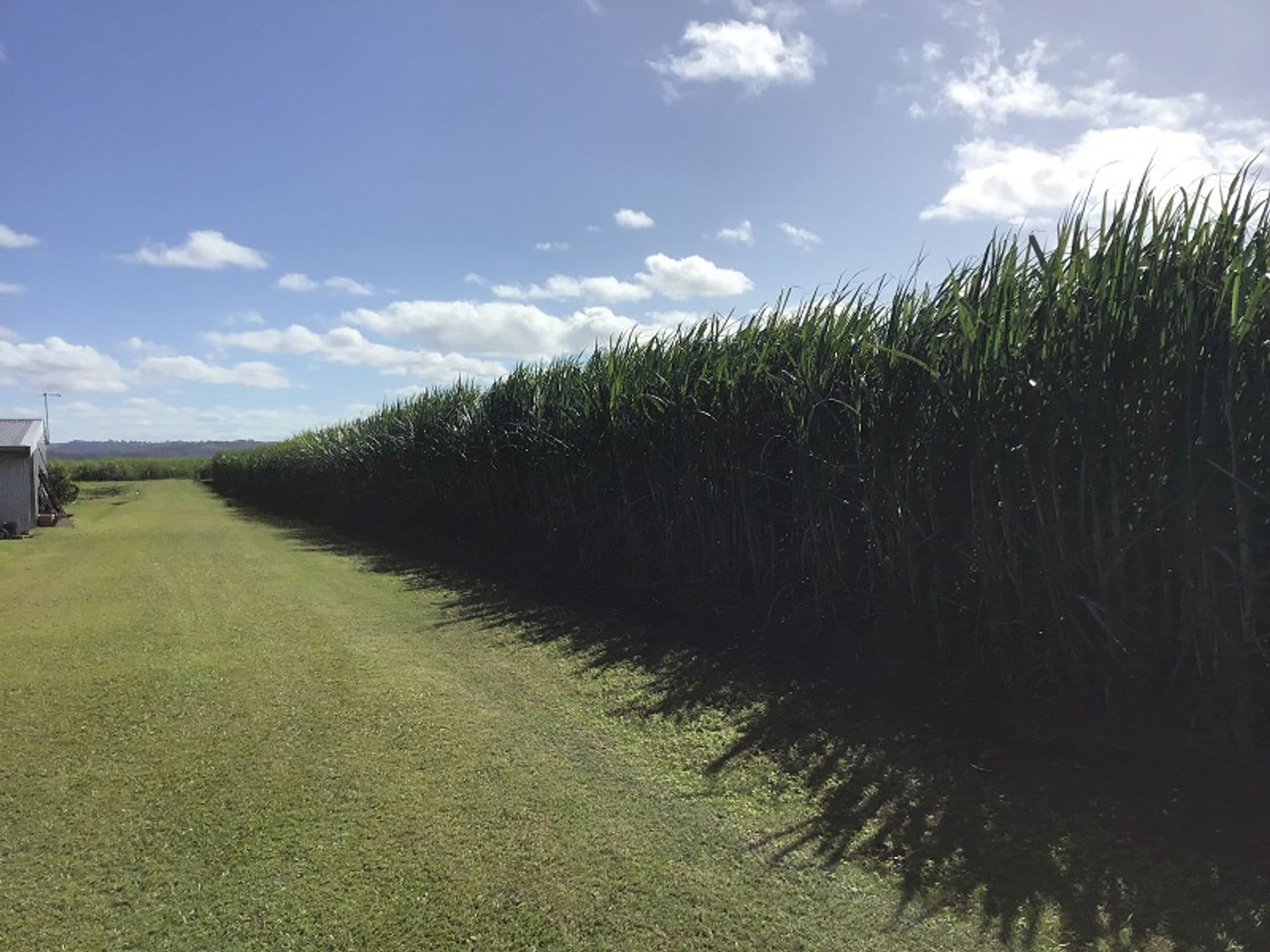 Lot 9 Hermans Lane, Pimlico, NSW, 2478, Pimlico - Thumbnail 5