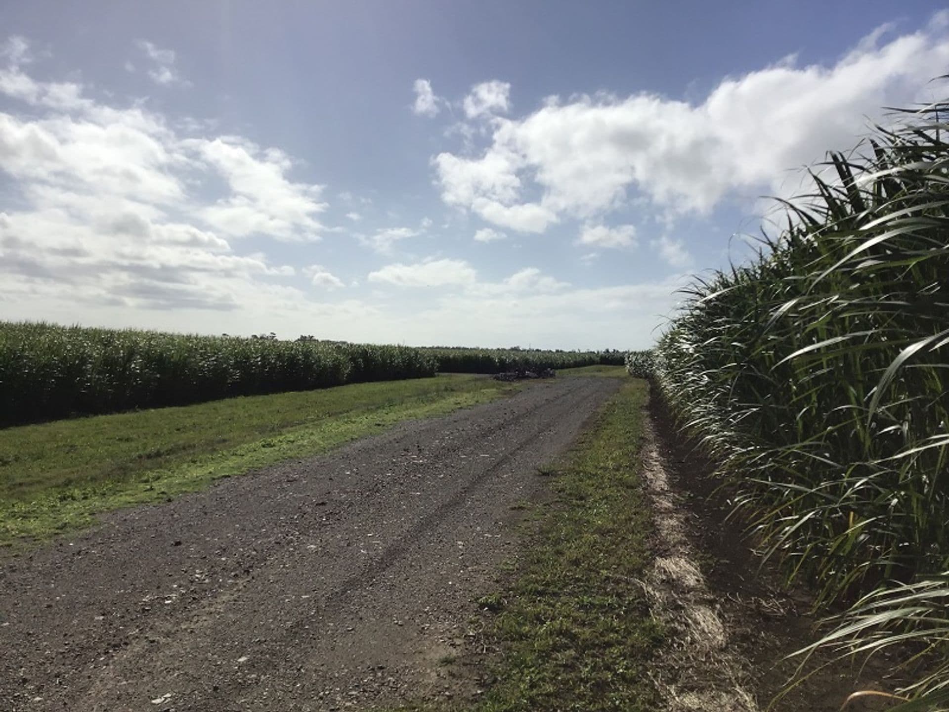 Lot 9 Hermans Lane, Pimlico, NSW, 2478, Pimlico - Thumbnail 6