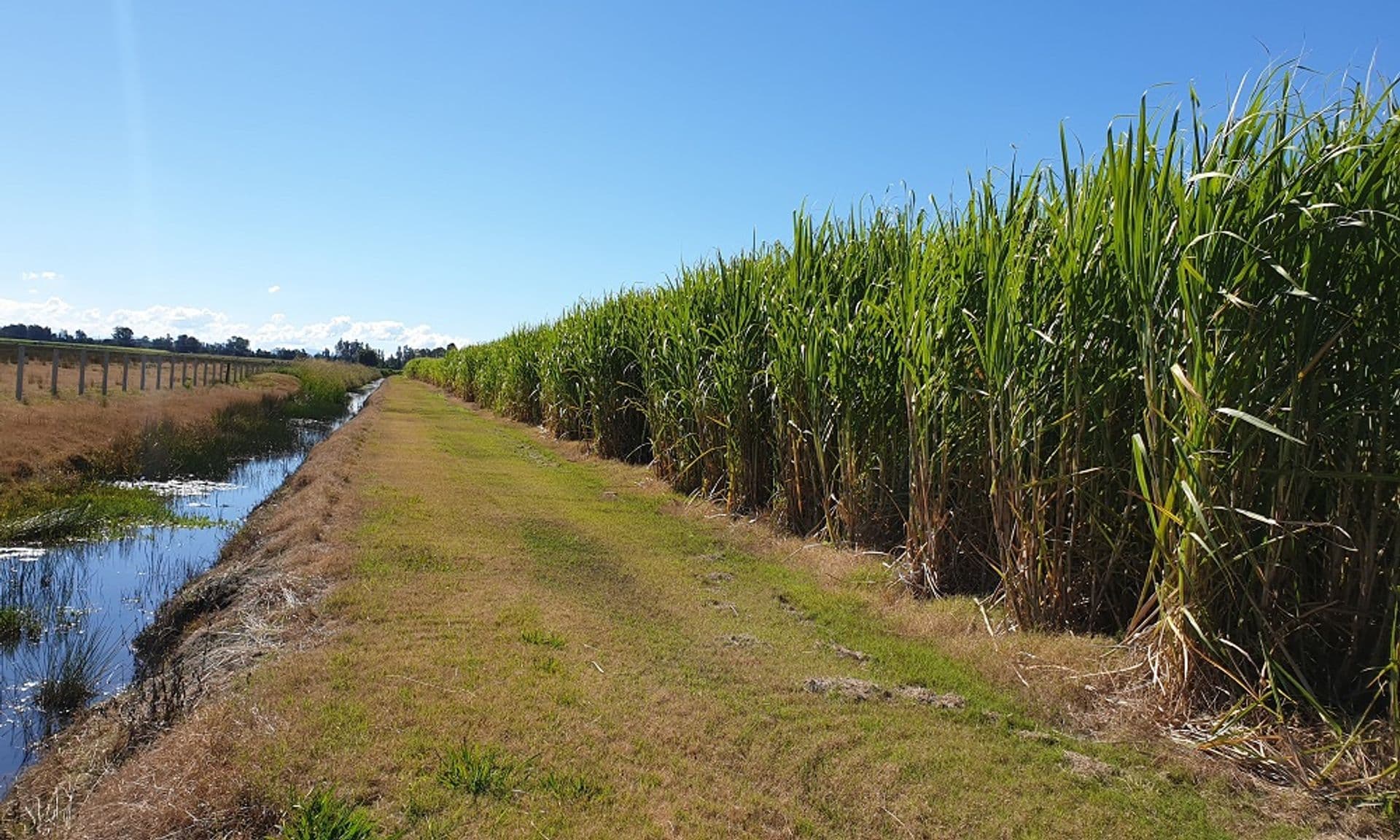 Address Withheld, Swan Bay, NSW, 2471, Swan Bay - Thumbnail 6