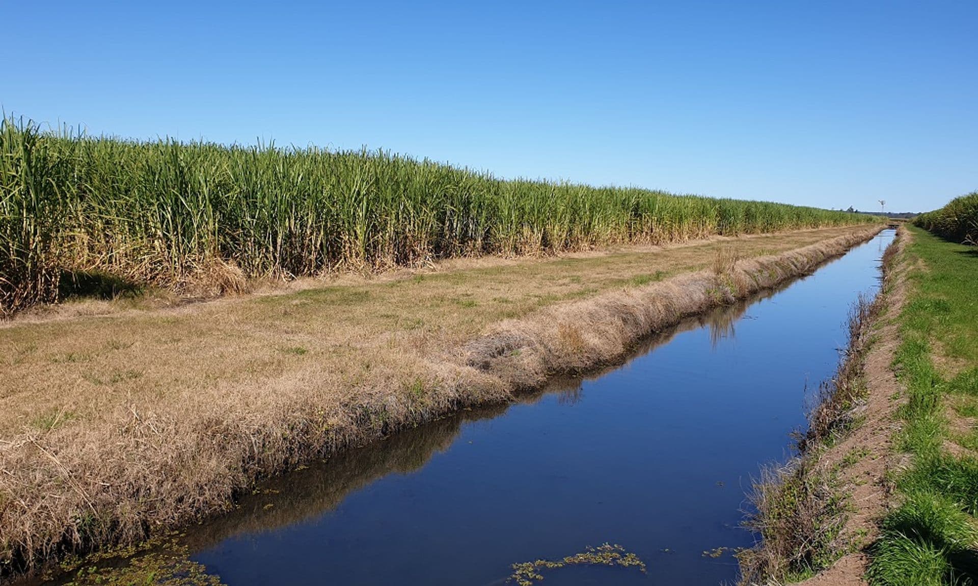 Address Withheld, Swan Bay, NSW, 2471, Swan Bay - Thumbnail 3