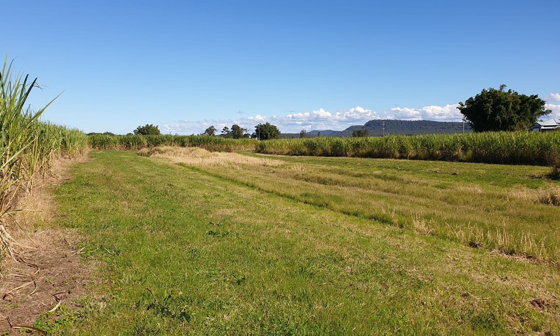 Address Withheld, Swan Bay, NSW, 2471, Swan Bay - Thumbnail 5