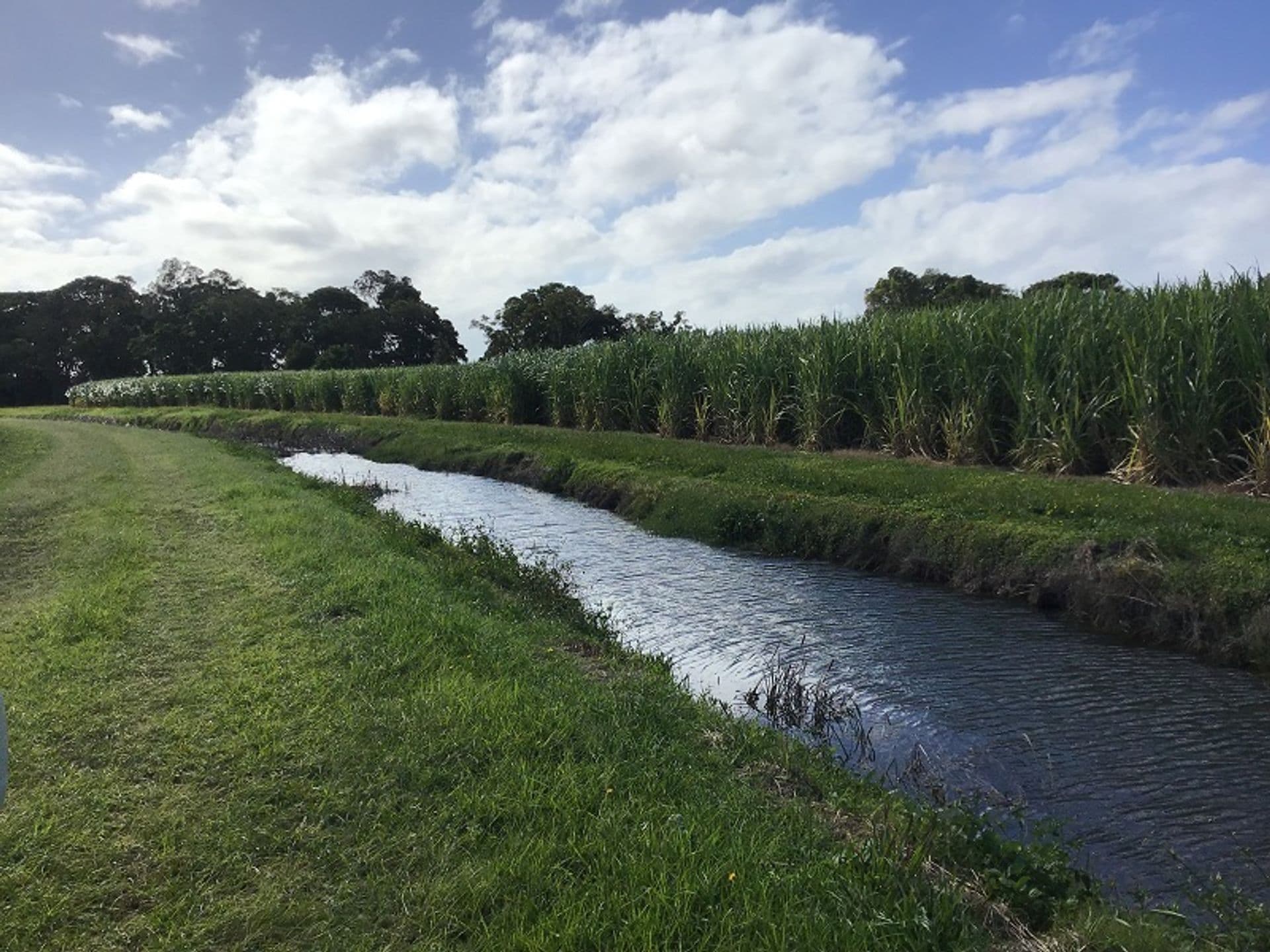 Lot 11 Pimlico Road, Pimlico, NSW, 2478, Pimlico - Thumbnail 5