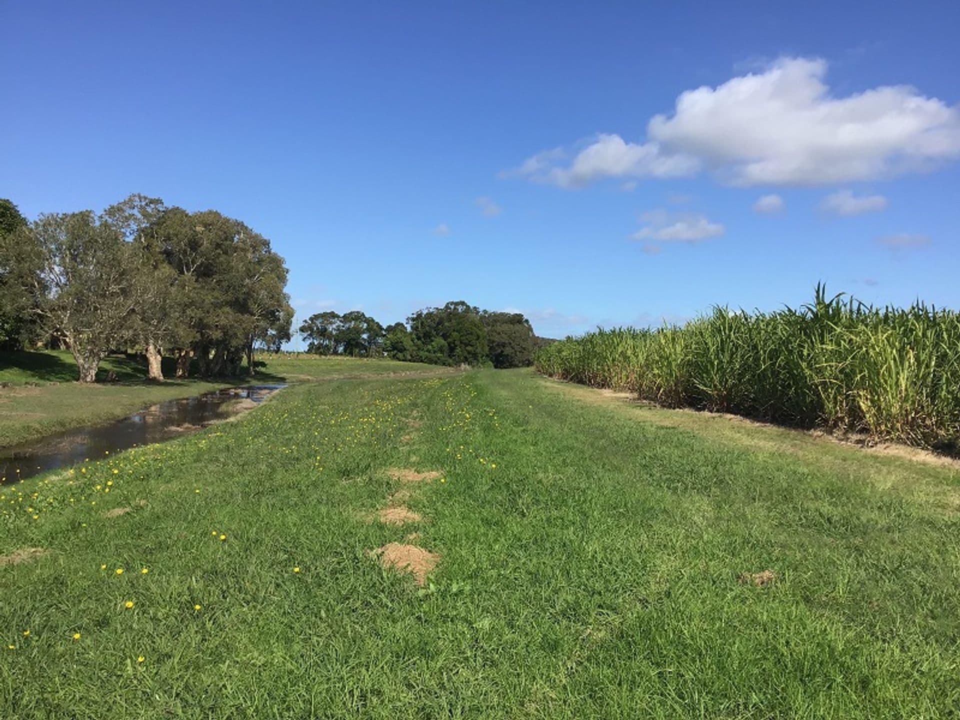 Lot 11 Pimlico Road, Pimlico, NSW, 2478, Pimlico - Thumbnail 7