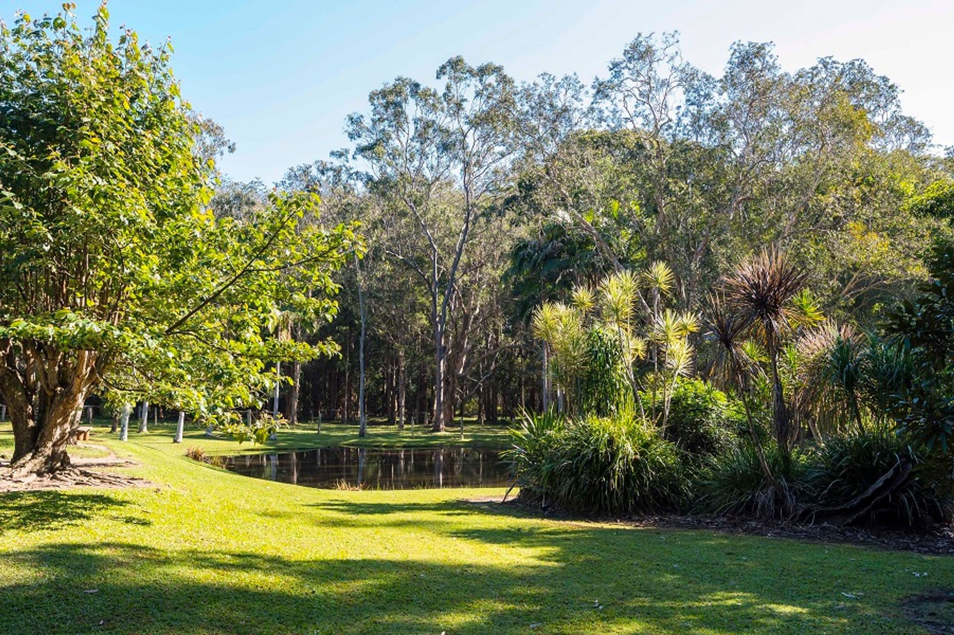 Address Withheld, The Gap, NSW, 2472, The Gap - Thumbnail 5