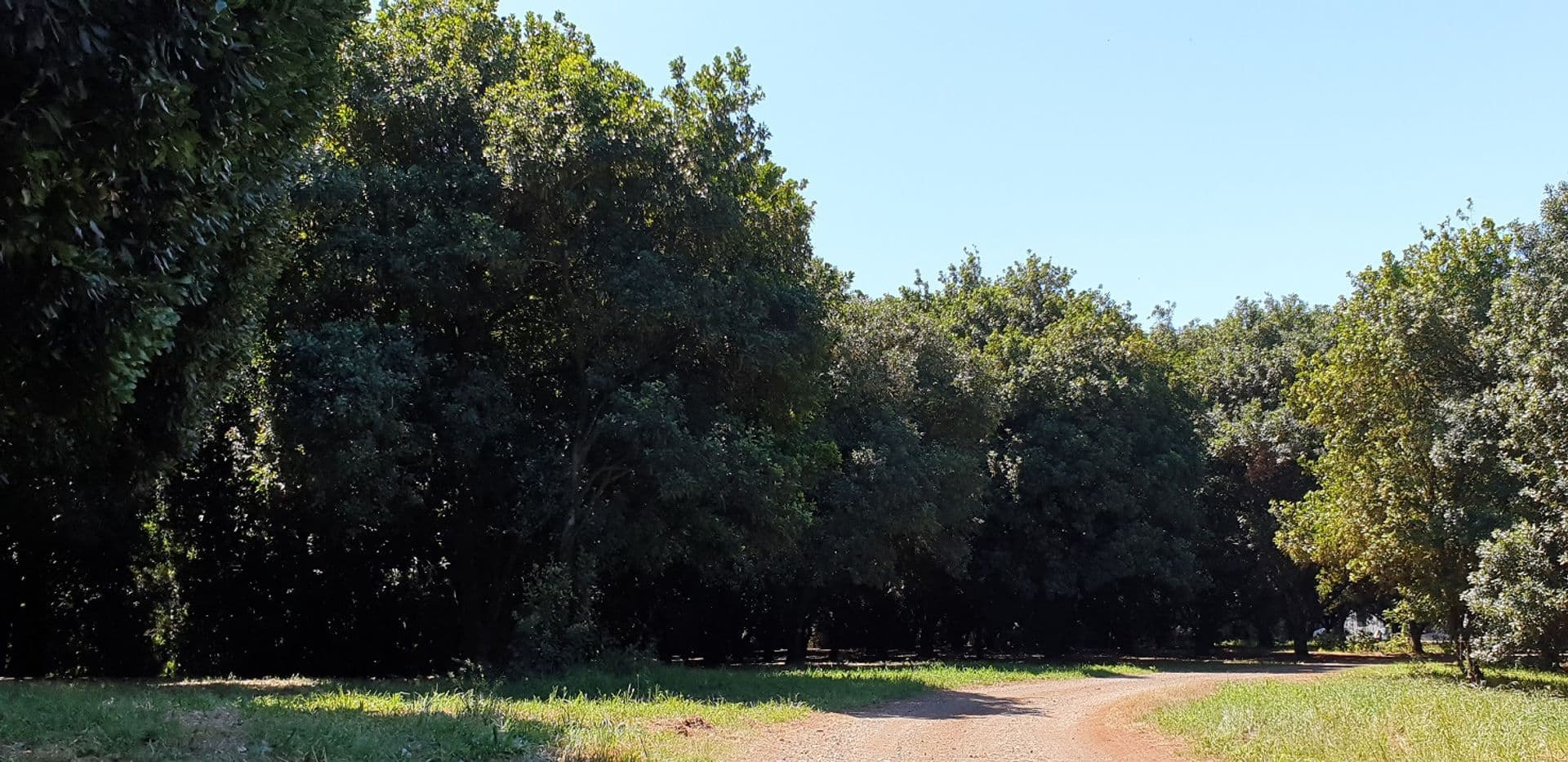 1360 Lismore Road, Clunes, NSW, 2480, Clunes - Thumbnail 8