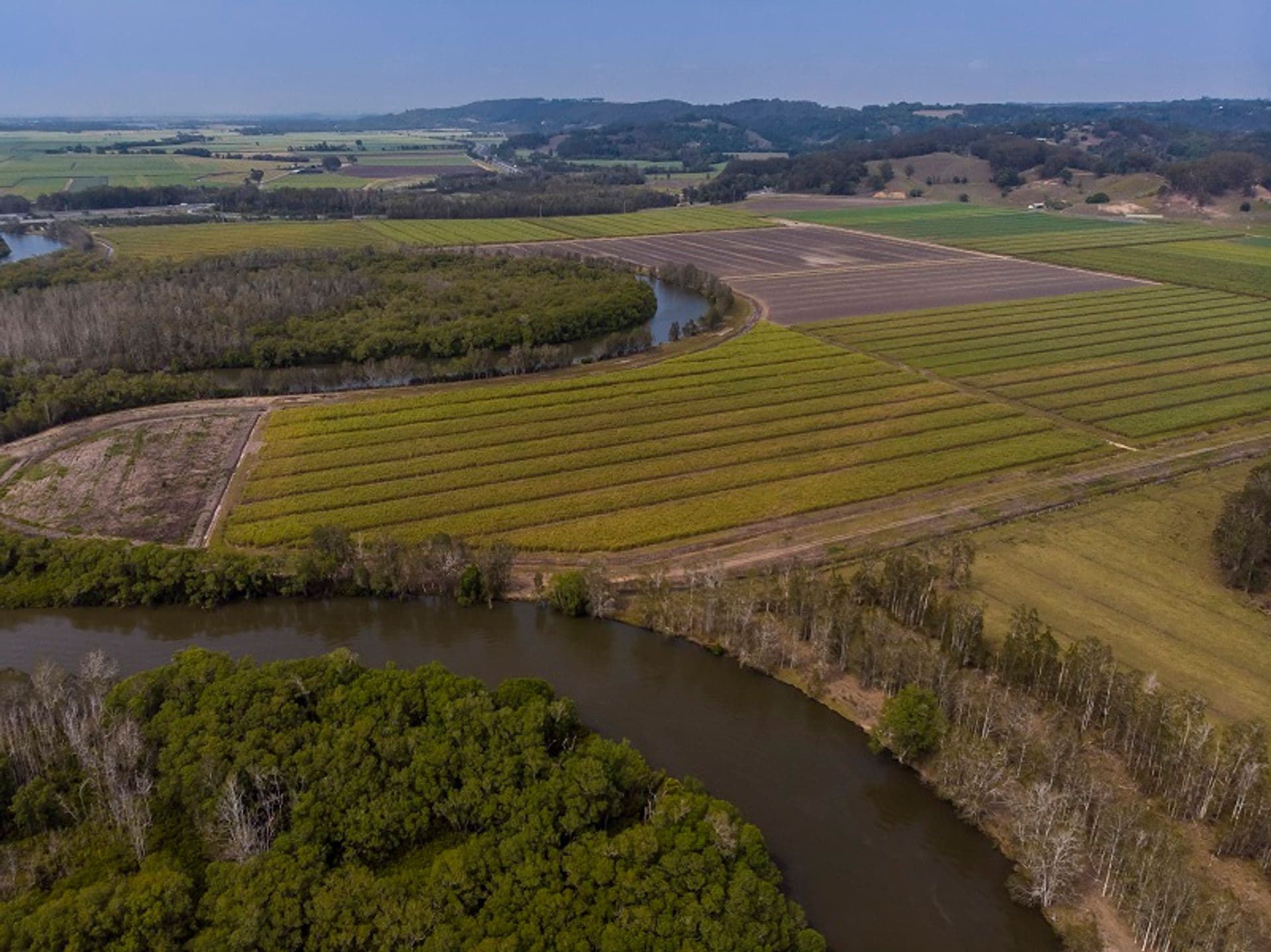 Address Withheld, Uralba, NSW, 2477, Uralba - Thumbnail 2