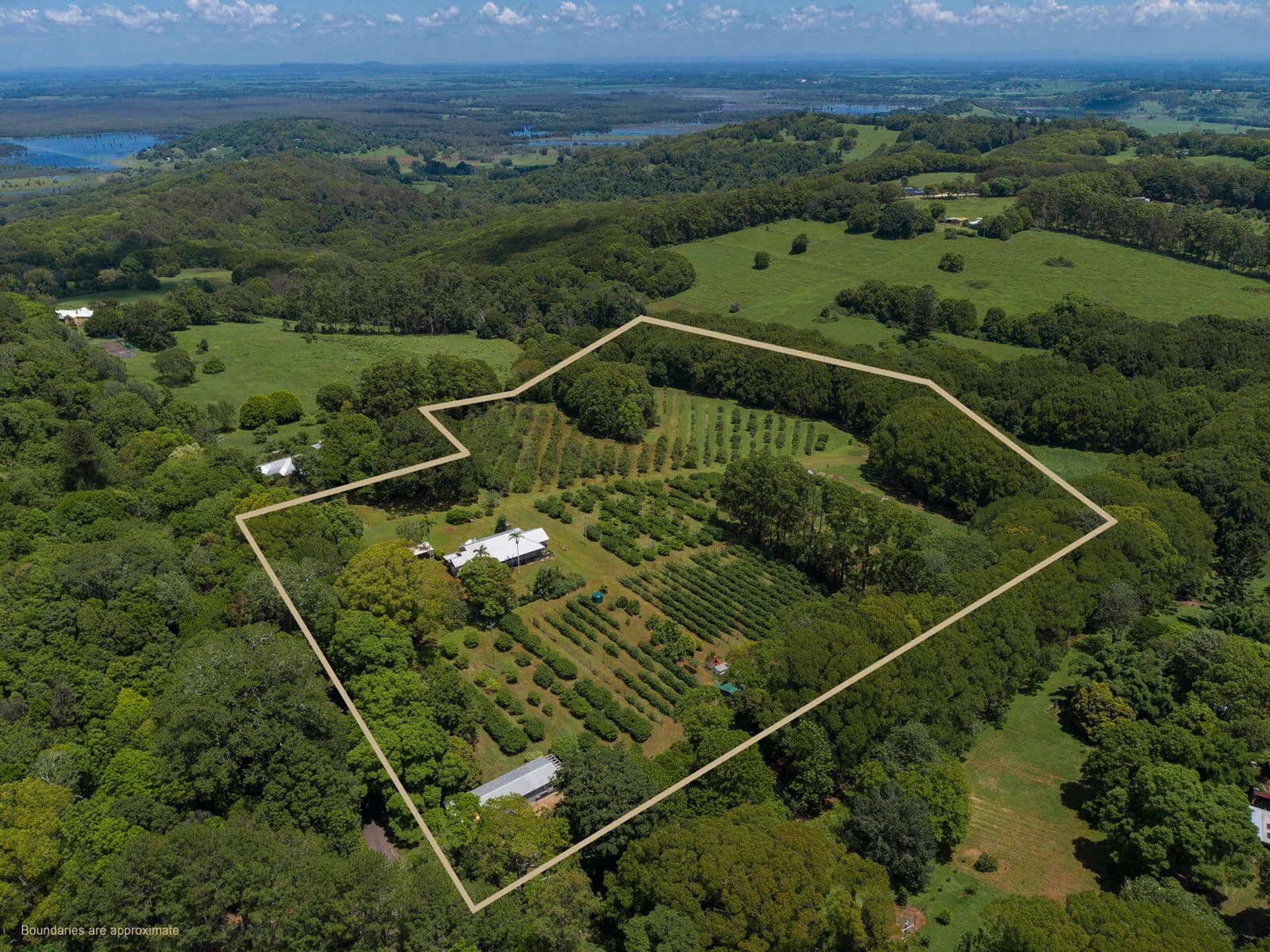 10 Victoria Park Lane, Dalwood, NSW, 2477, Dalwood - Thumbnail 3