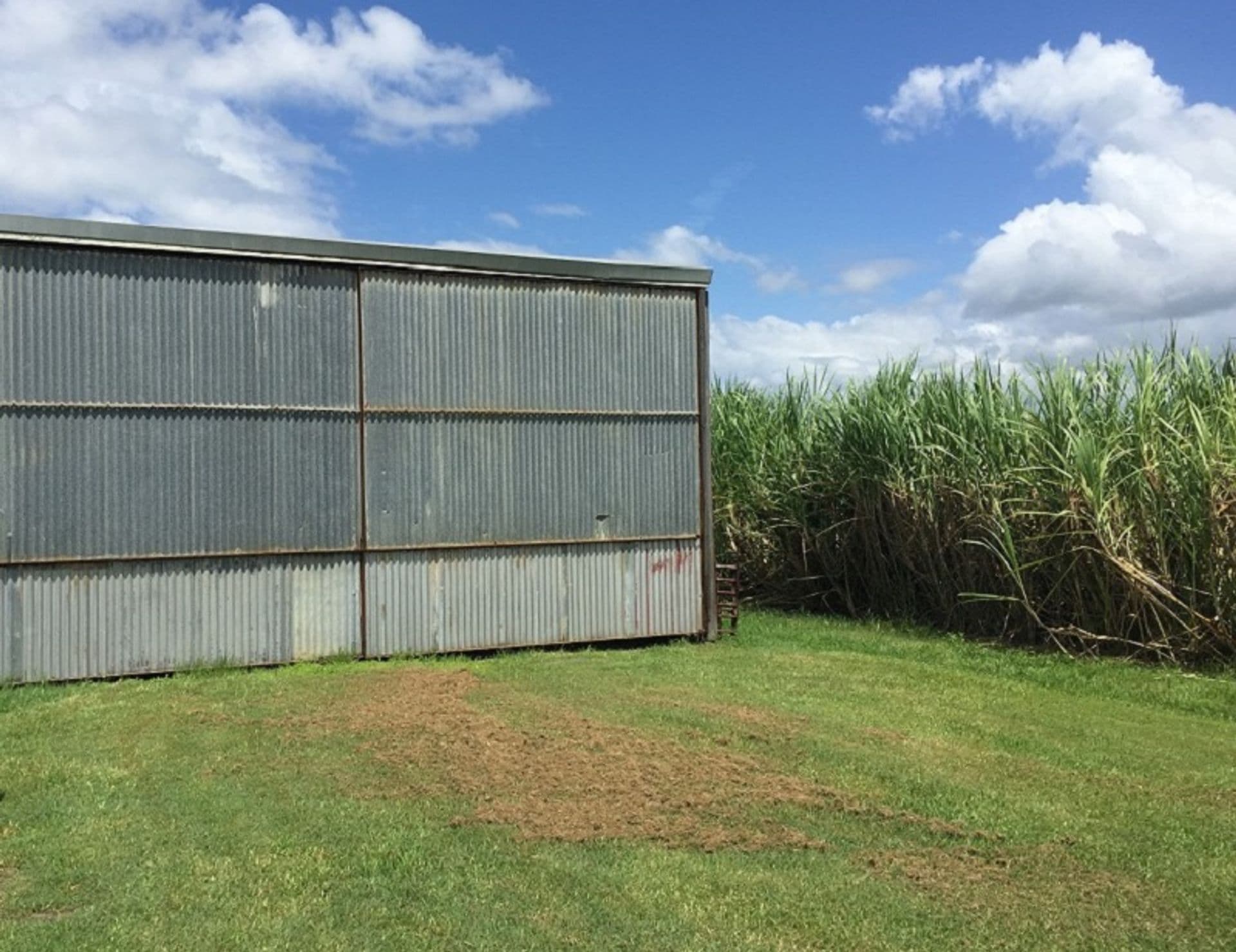 Address Withheld, Empire Vale, NSW, 2478, Empire Vale - Thumbnail 3