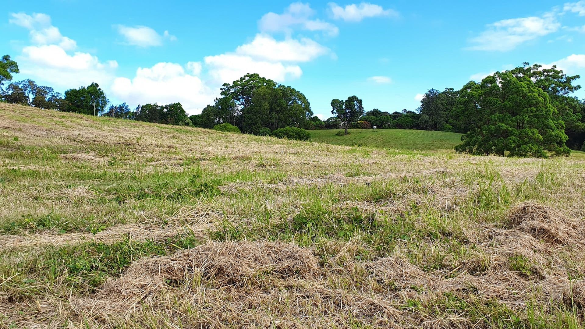 9 Lincoln Avenue, McLeans Ridges, NSW, 2480, McLeans Ridges - Thumbnail 7