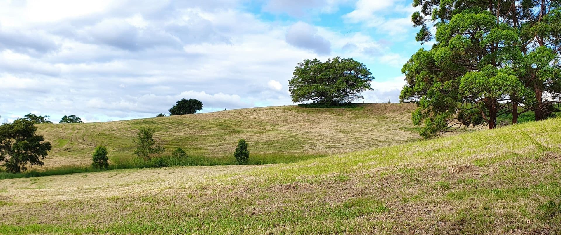9 Lincoln Avenue, McLeans Ridges, NSW, 2480, McLeans Ridges - Thumbnail 6