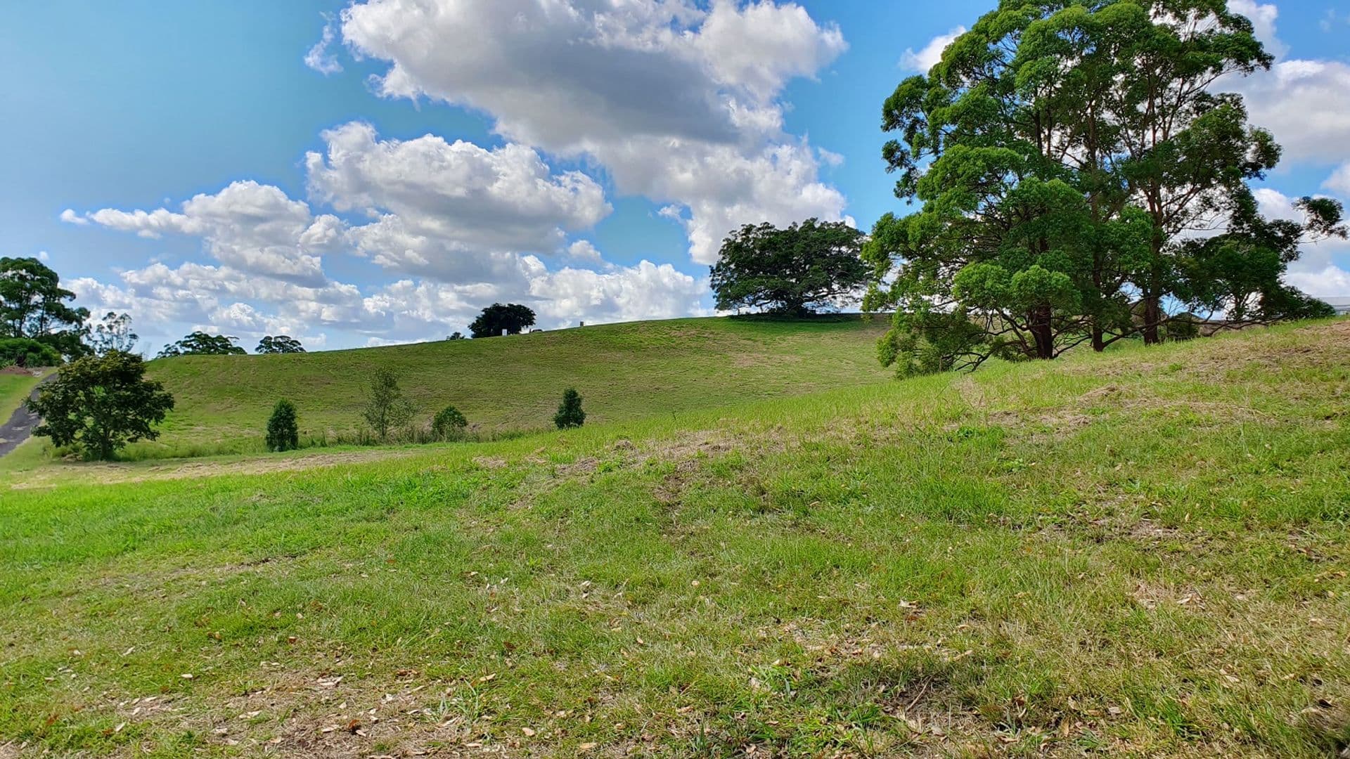 9 Lincoln Avenue, McLeans Ridges, NSW, 2480, McLeans Ridges - Thumbnail 2