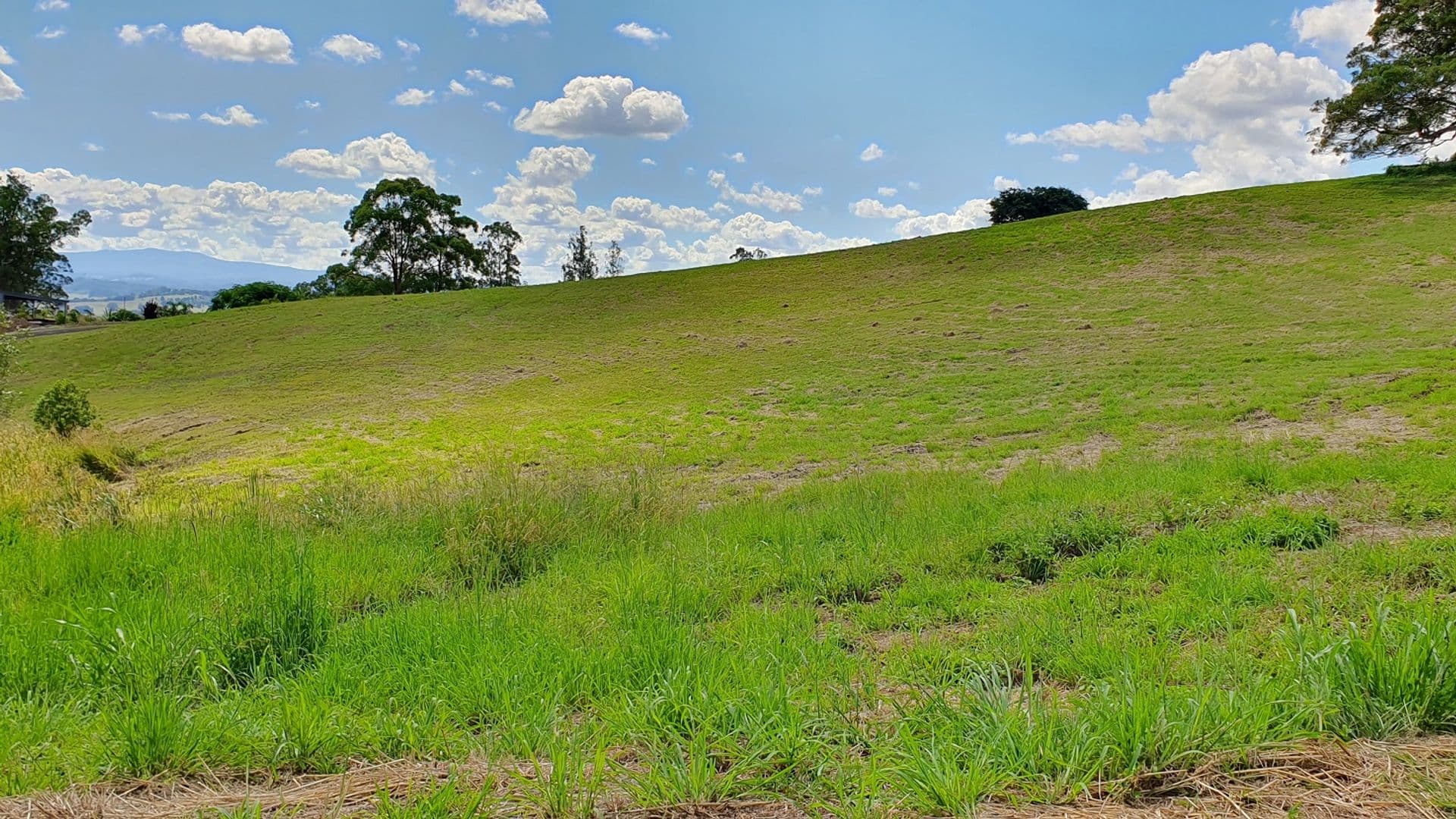 9 Lincoln Avenue, McLeans Ridges, NSW, 2480, McLeans Ridges - Image 1