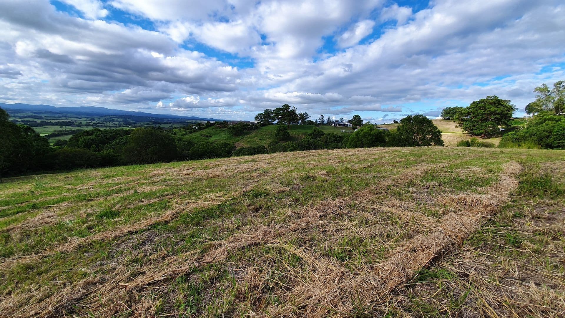 25 Lincoln Avenue, McLeans Ridges, NSW, 2480, McLeans Ridges - Image 1