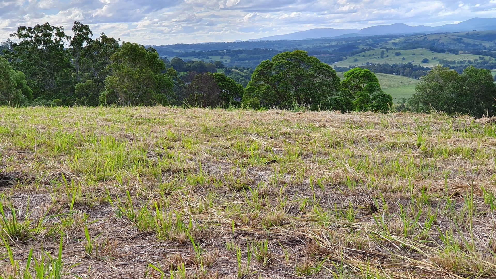 25 Lincoln Avenue, McLeans Ridges, NSW, 2480, McLeans Ridges - Thumbnail 3