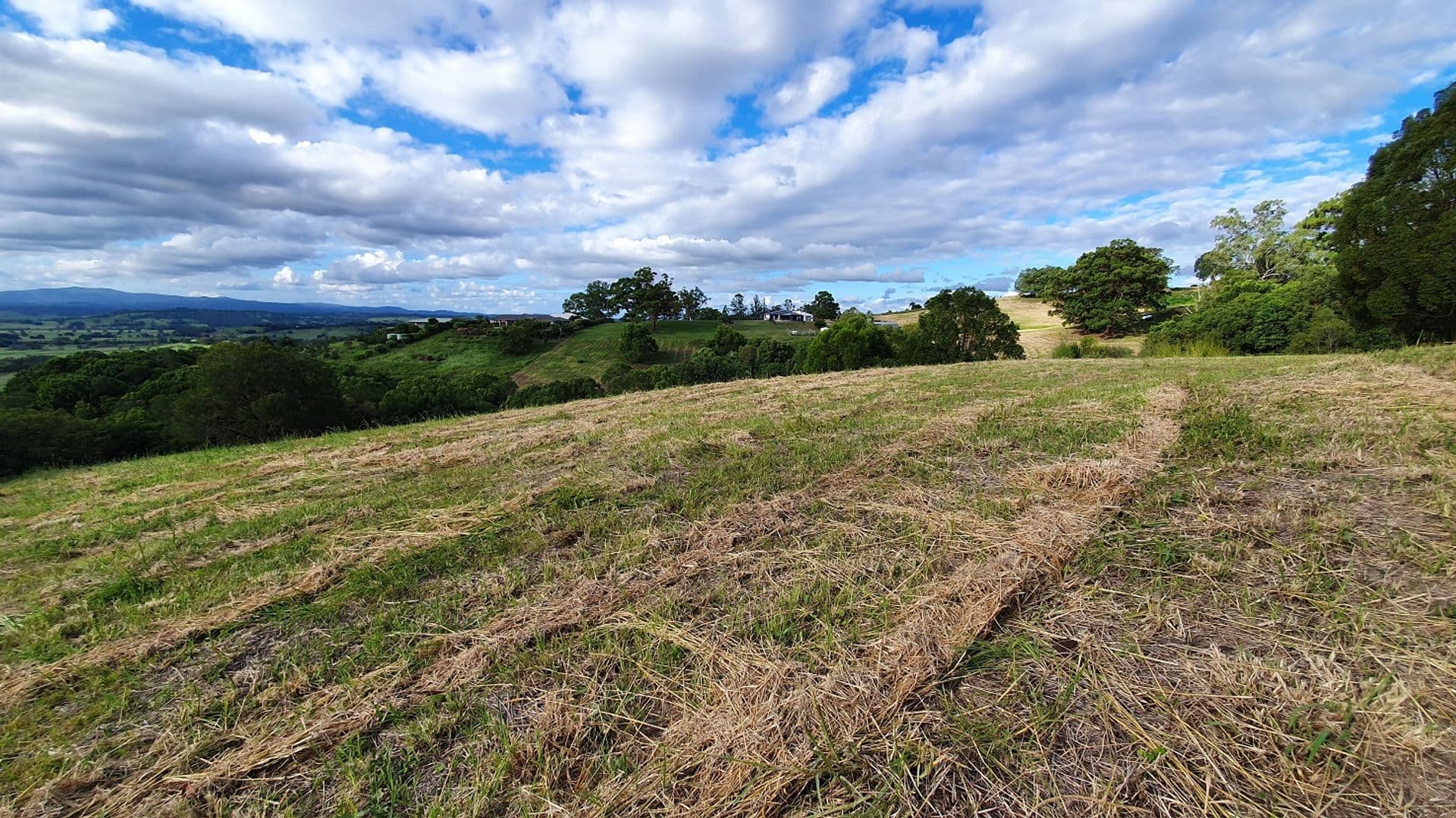 25 Lincoln Avenue, McLeans Ridges, NSW, 2480, McLeans Ridges - Thumbnail 5
