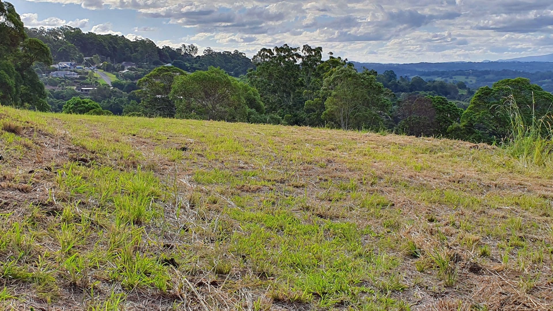 25 Lincoln Avenue, McLeans Ridges, NSW, 2480, McLeans Ridges - Thumbnail 7