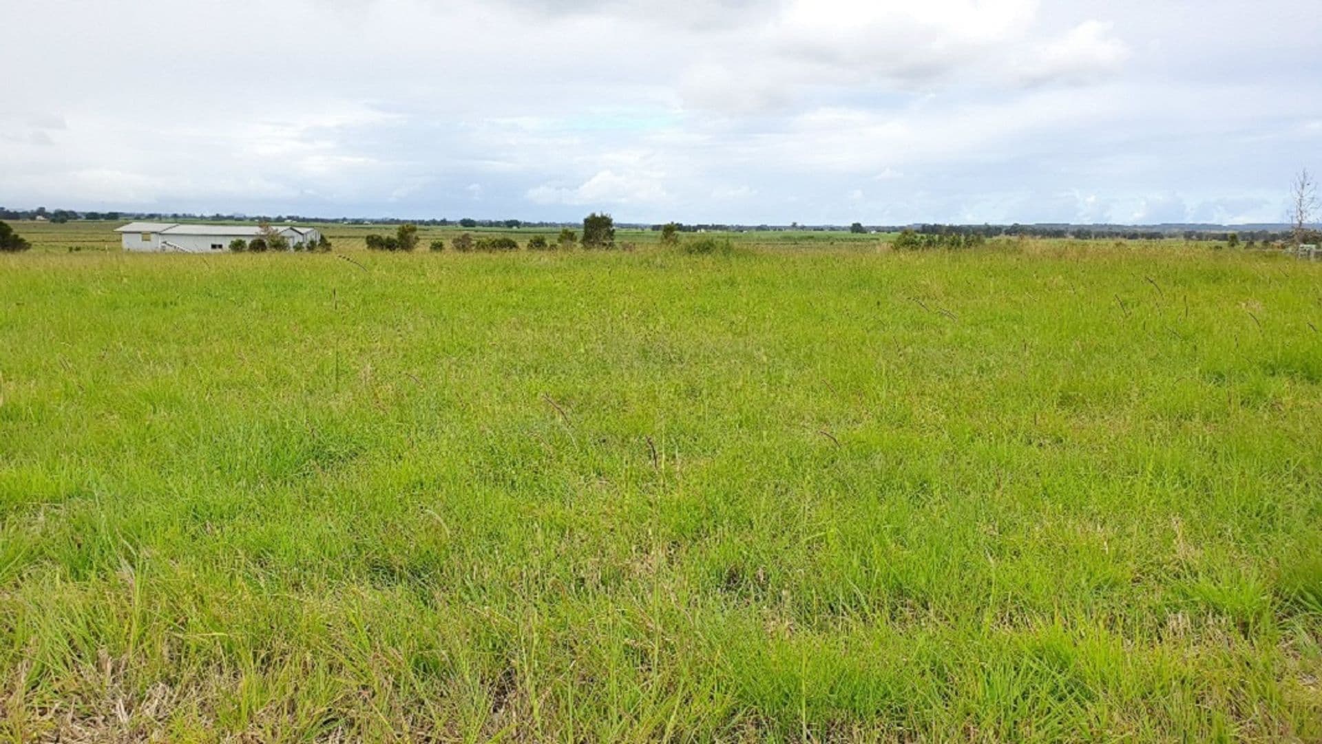 Lot 14 Casuarina Drive, Swan Bay, NSW, 2471, Swan Bay - Thumbnail 3