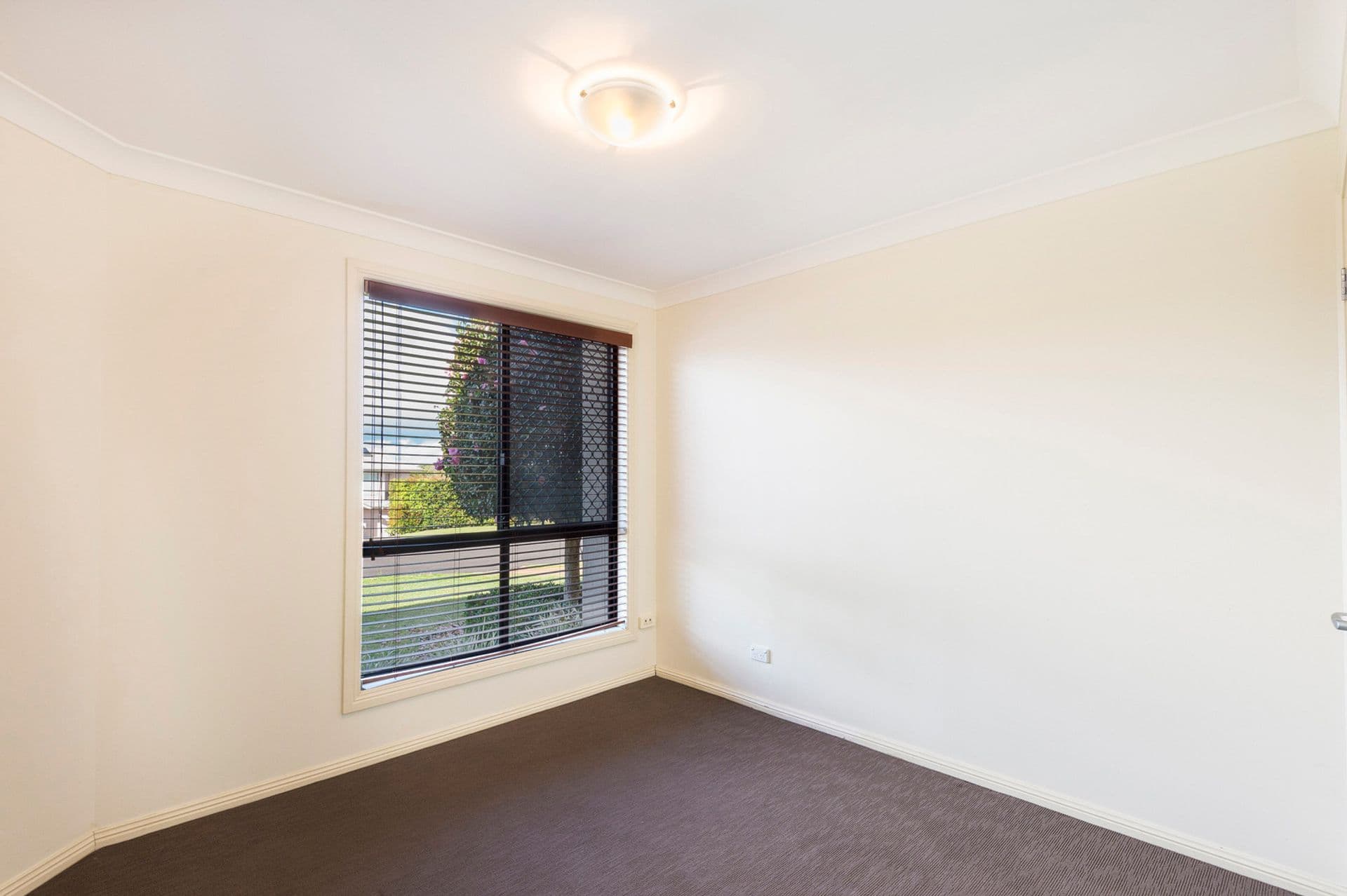 25 Hellyar Drive, Wollongbar, NSW, 2477, Wollongbar - Thumbnail 7