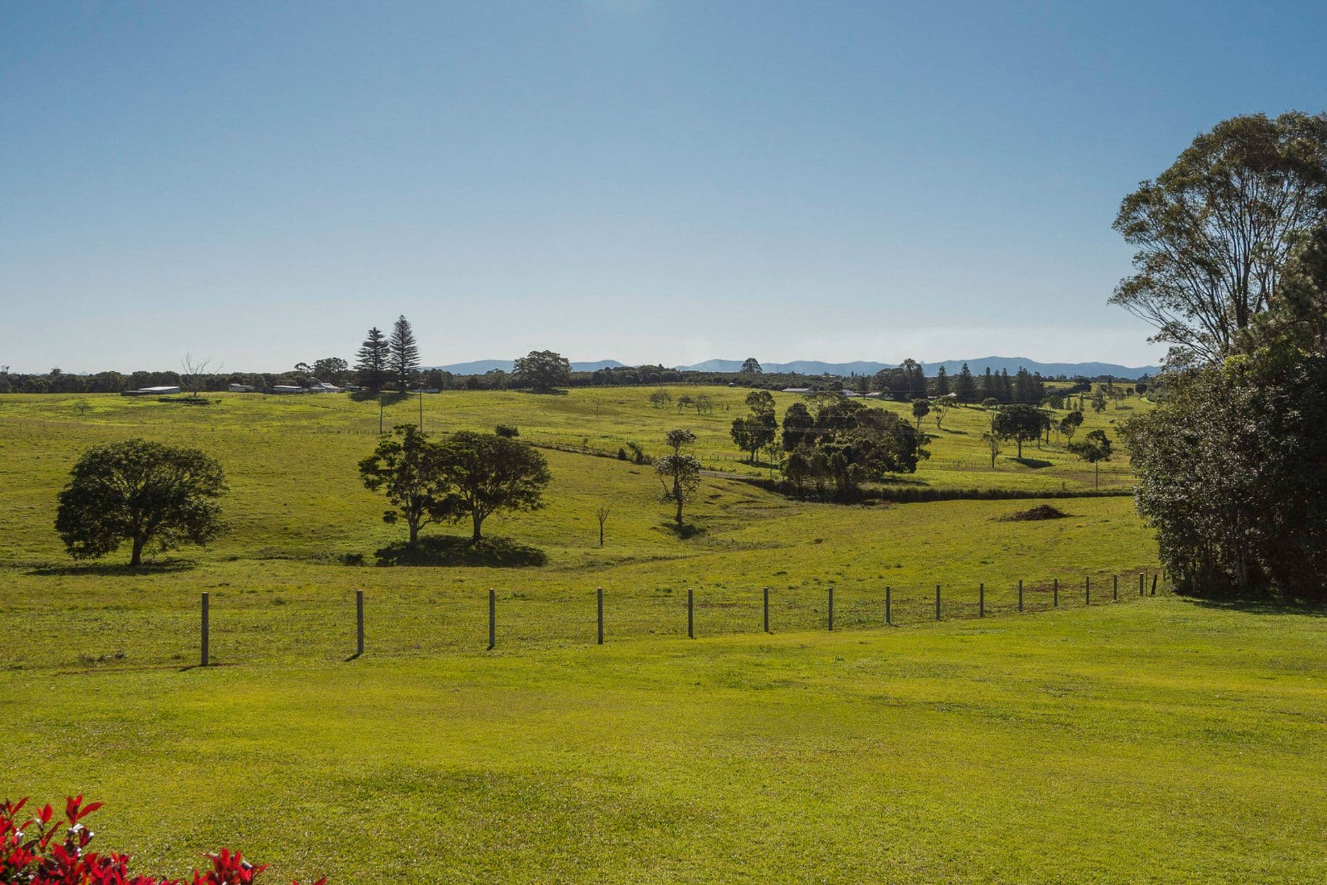 Address Withheld, Alstonville, NSW, 2477, Alstonville - Thumbnail 3