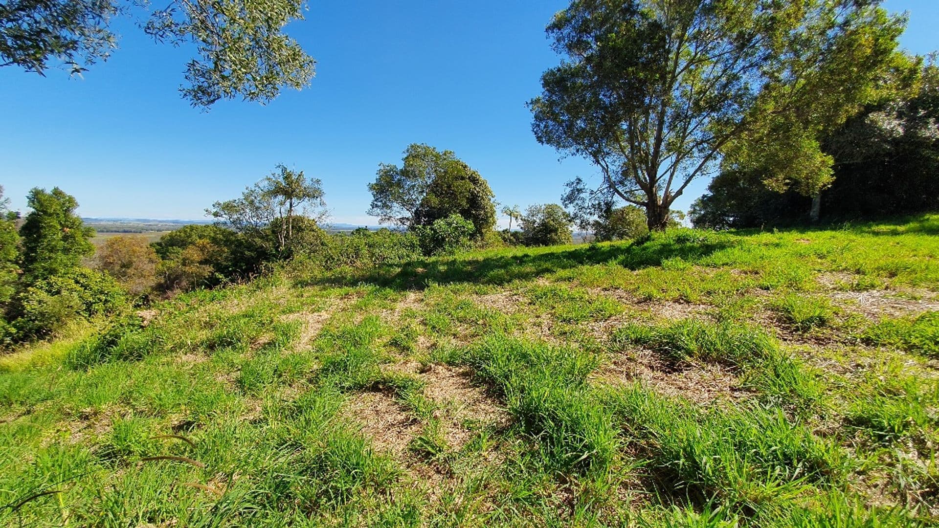 Address Withheld, Bagotville, NSW, 2477, Bagotville - Thumbnail 4