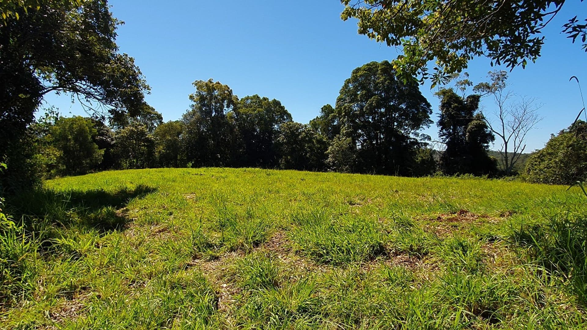 Address Withheld, Bagotville, NSW, 2477, Bagotville - Thumbnail 8