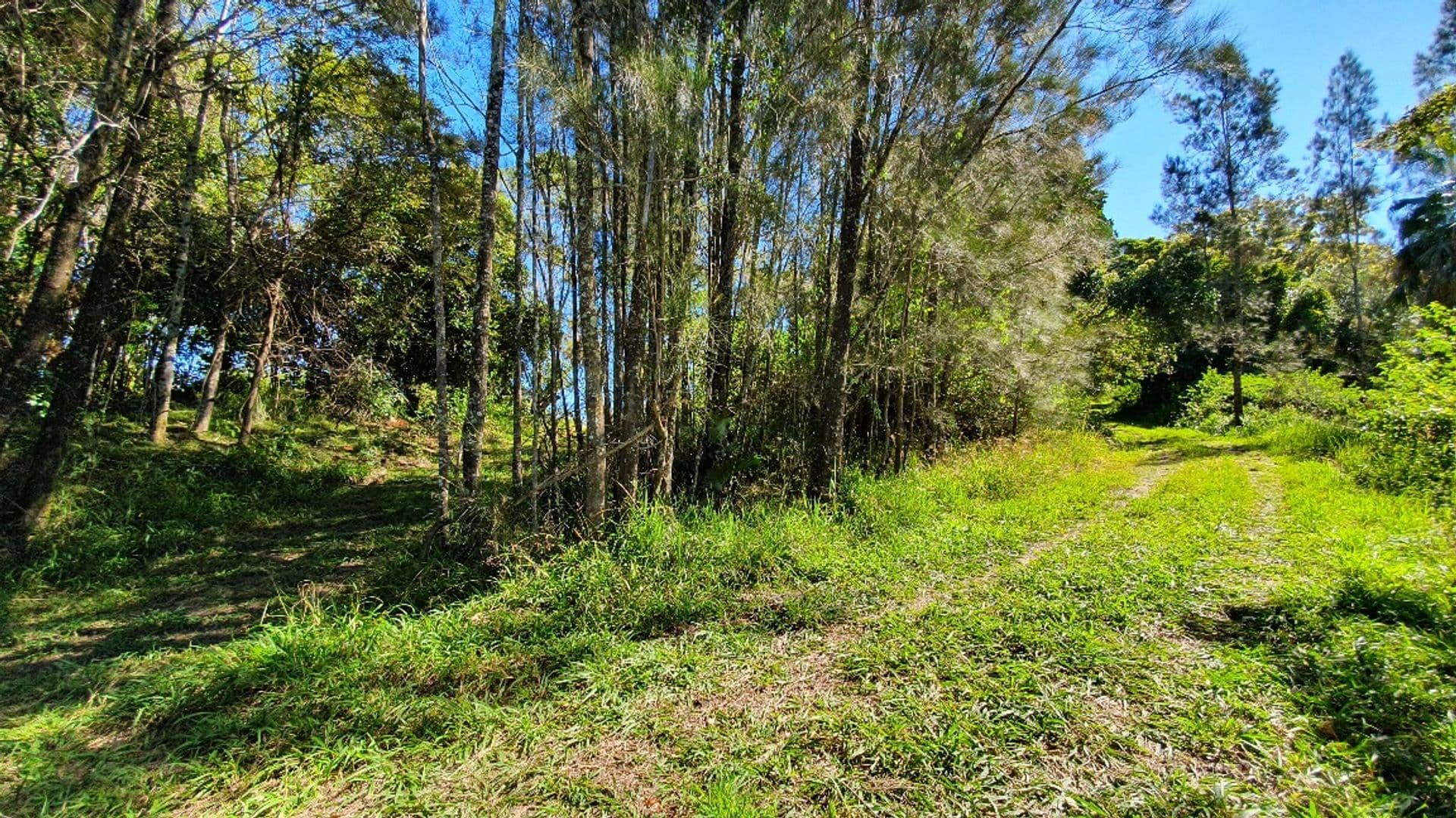 Address Withheld, Bagotville, NSW, 2477, Bagotville - Thumbnail 7