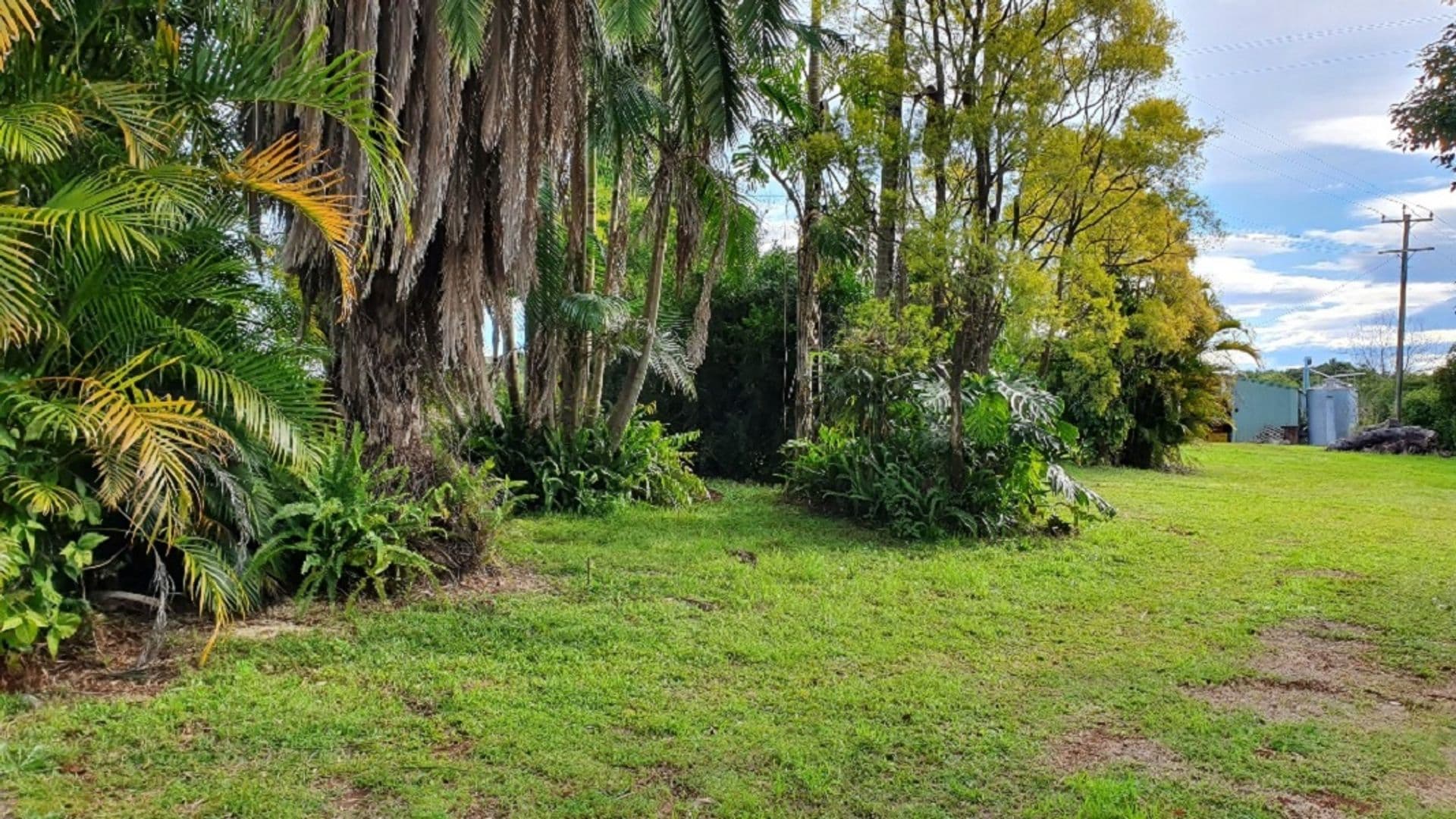 Address Withheld, Alstonvale, NSW, 2477, Alstonvale - Thumbnail 4