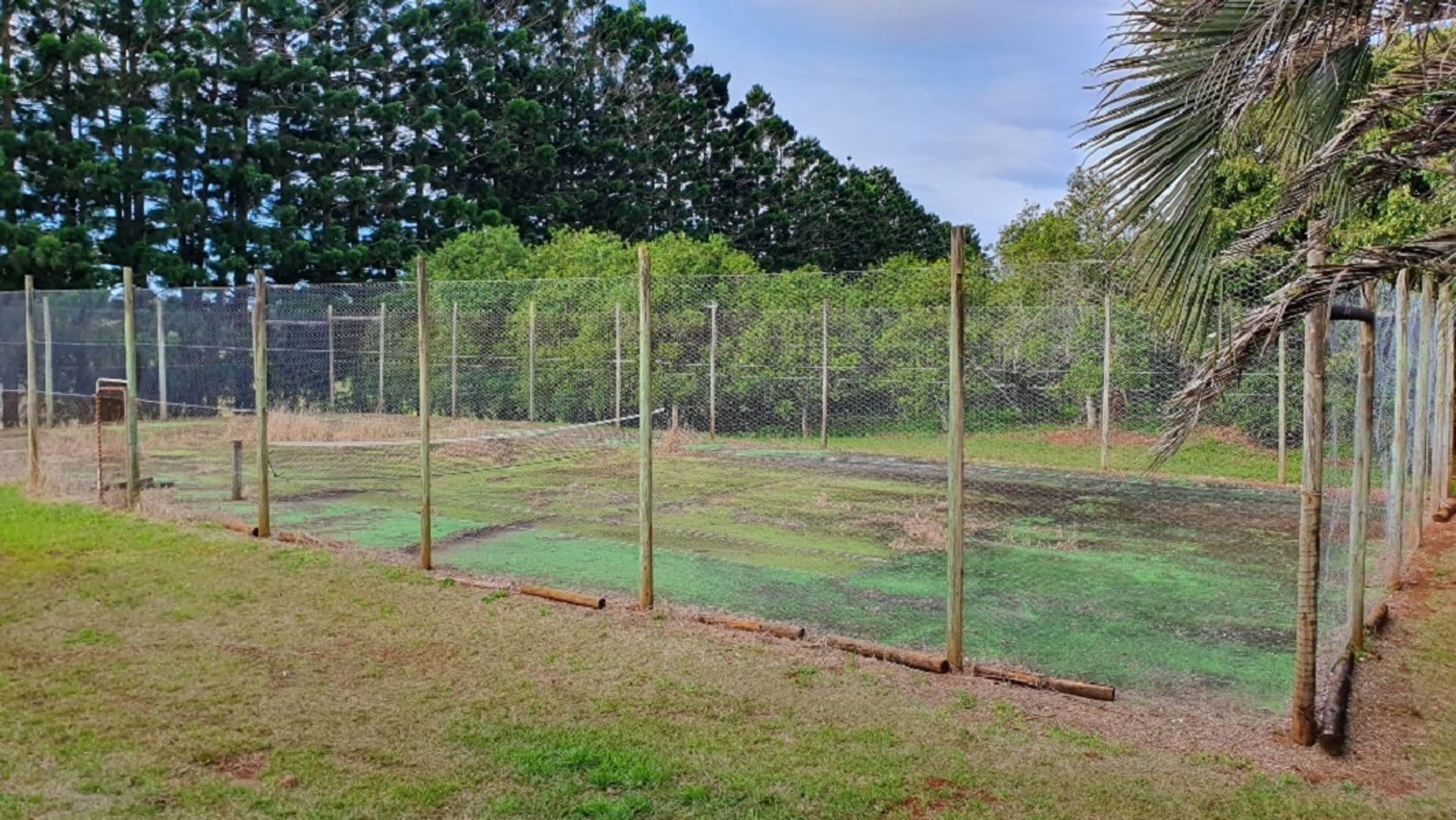 Address Withheld, Alstonvale, NSW, 2477, Alstonvale - Thumbnail 7
