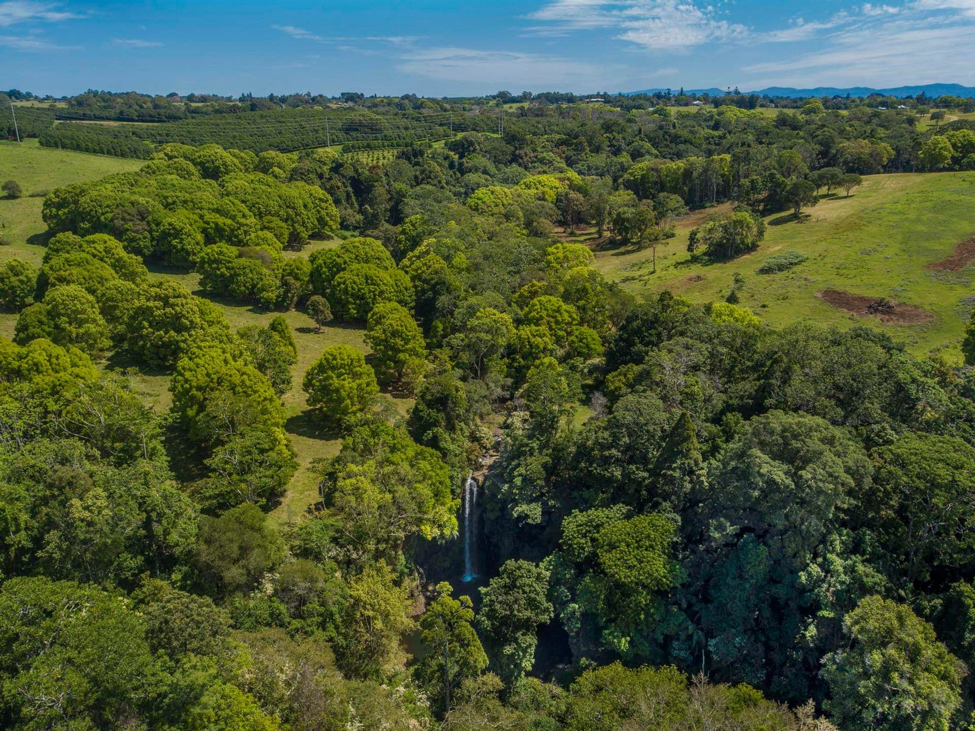 43 Waratah Lane, Alstonville, NSW, 2477, Alstonville - Image 1