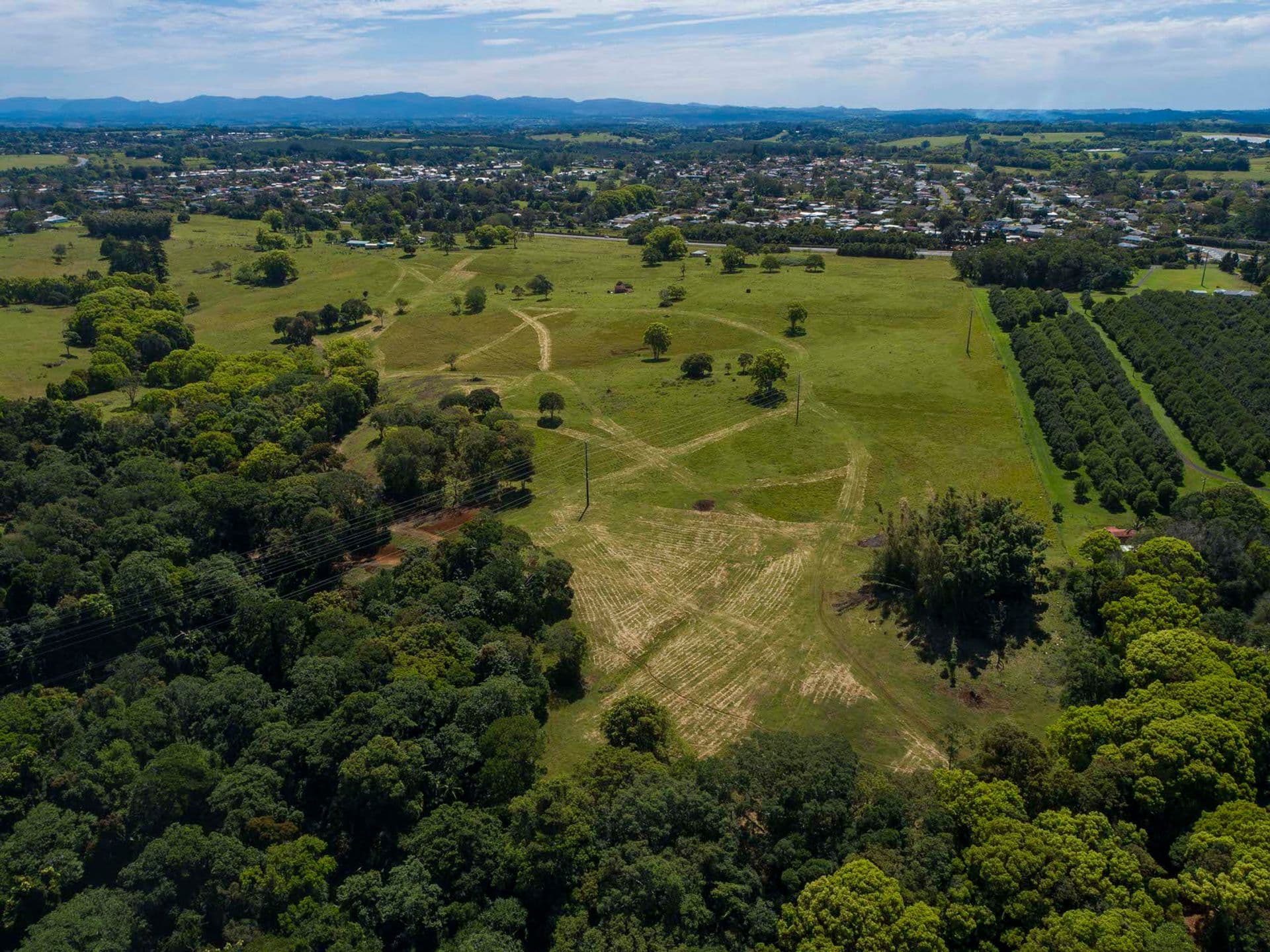 43 Waratah Lane, Alstonville, NSW, 2477, Alstonville - Thumbnail 3