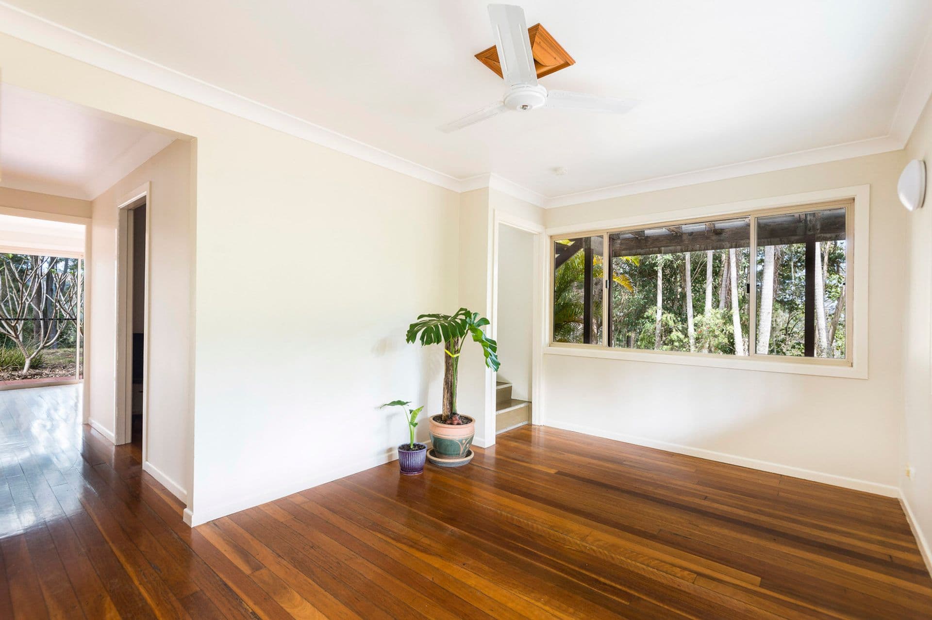 2 Zouch Road, Nimbin, NSW, 2480, Stony Chute - Thumbnail 4