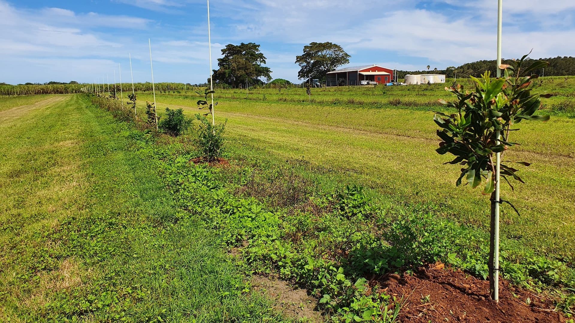 Address Withheld, Wardell, NSW, 2477, Wardell - Thumbnail 4