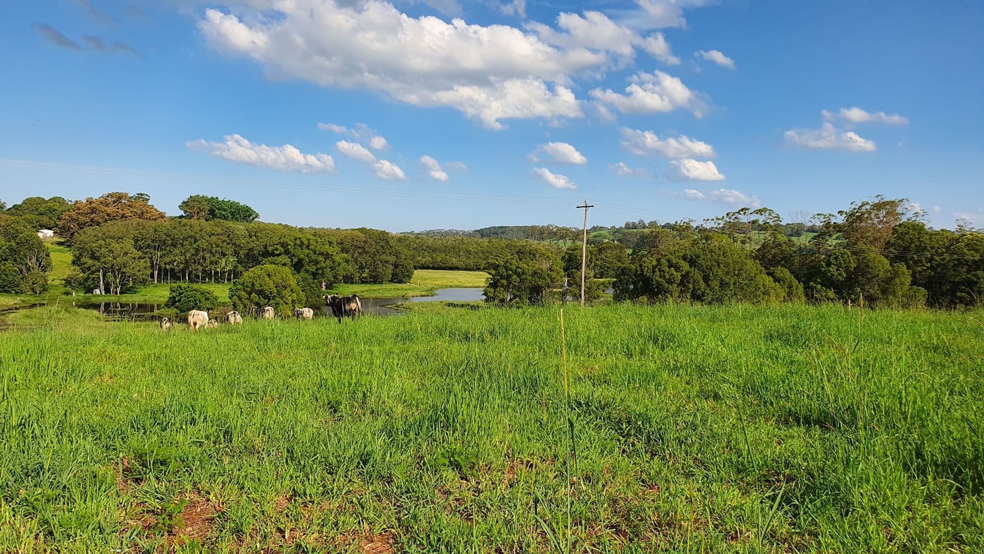 Address Withheld, McLeans Ridges, NSW, 2480, McLeans Ridges - Thumbnail 3