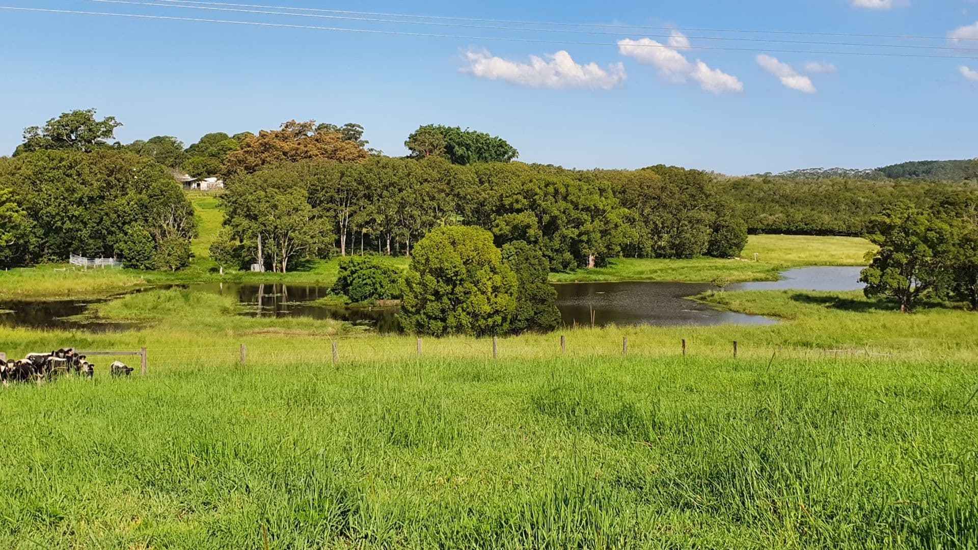 Address Withheld, McLeans Ridges, NSW, 2480, McLeans Ridges - Image 1