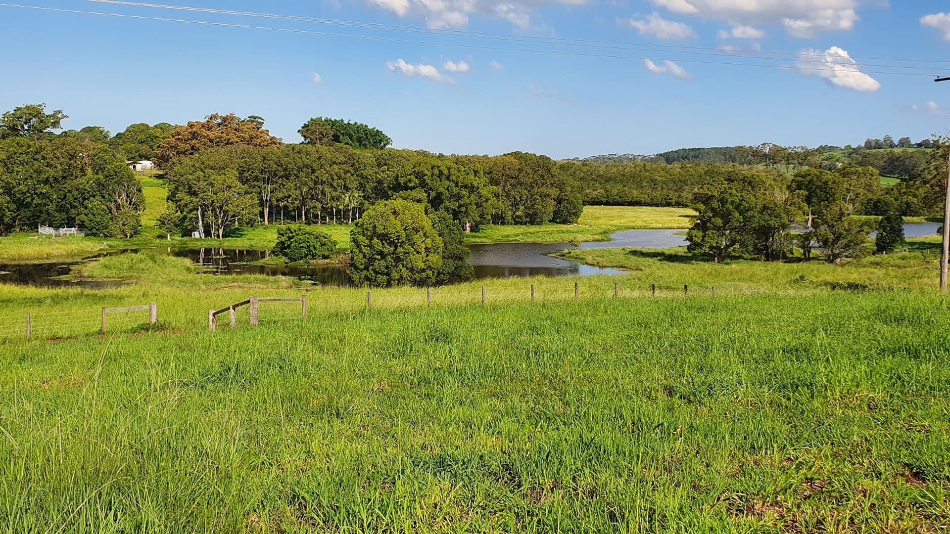 Address Withheld, McLeans Ridges, NSW, 2480, McLeans Ridges - Thumbnail 4