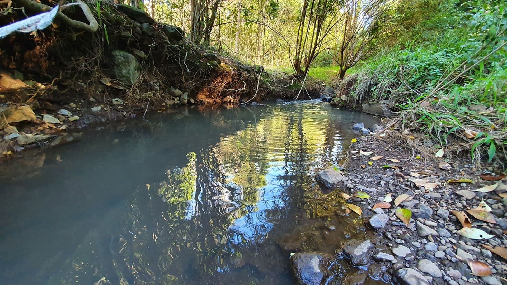 48 Lincoln Avenue, McLeans Ridges, NSW, 2480, McLeans Ridges - Thumbnail 5