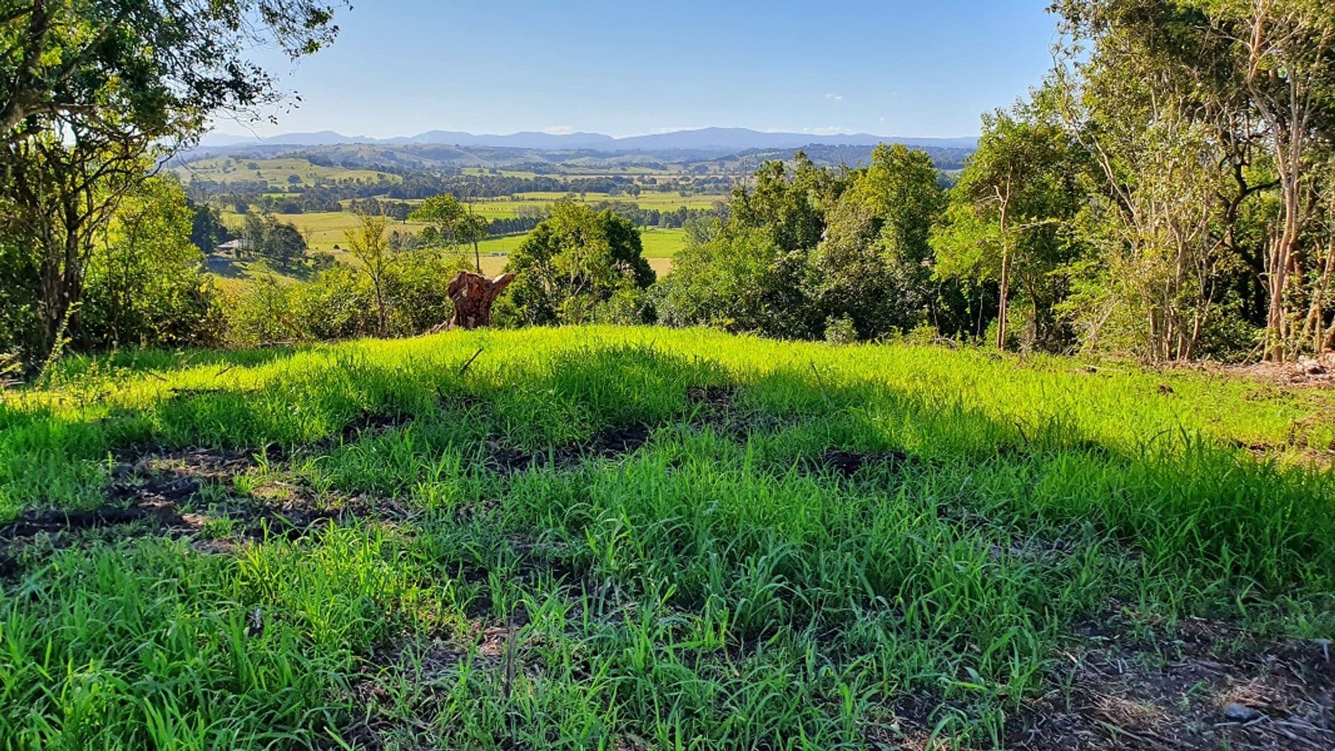 48 Lincoln Avenue, McLeans Ridges, NSW, 2480, McLeans Ridges - Thumbnail 3
