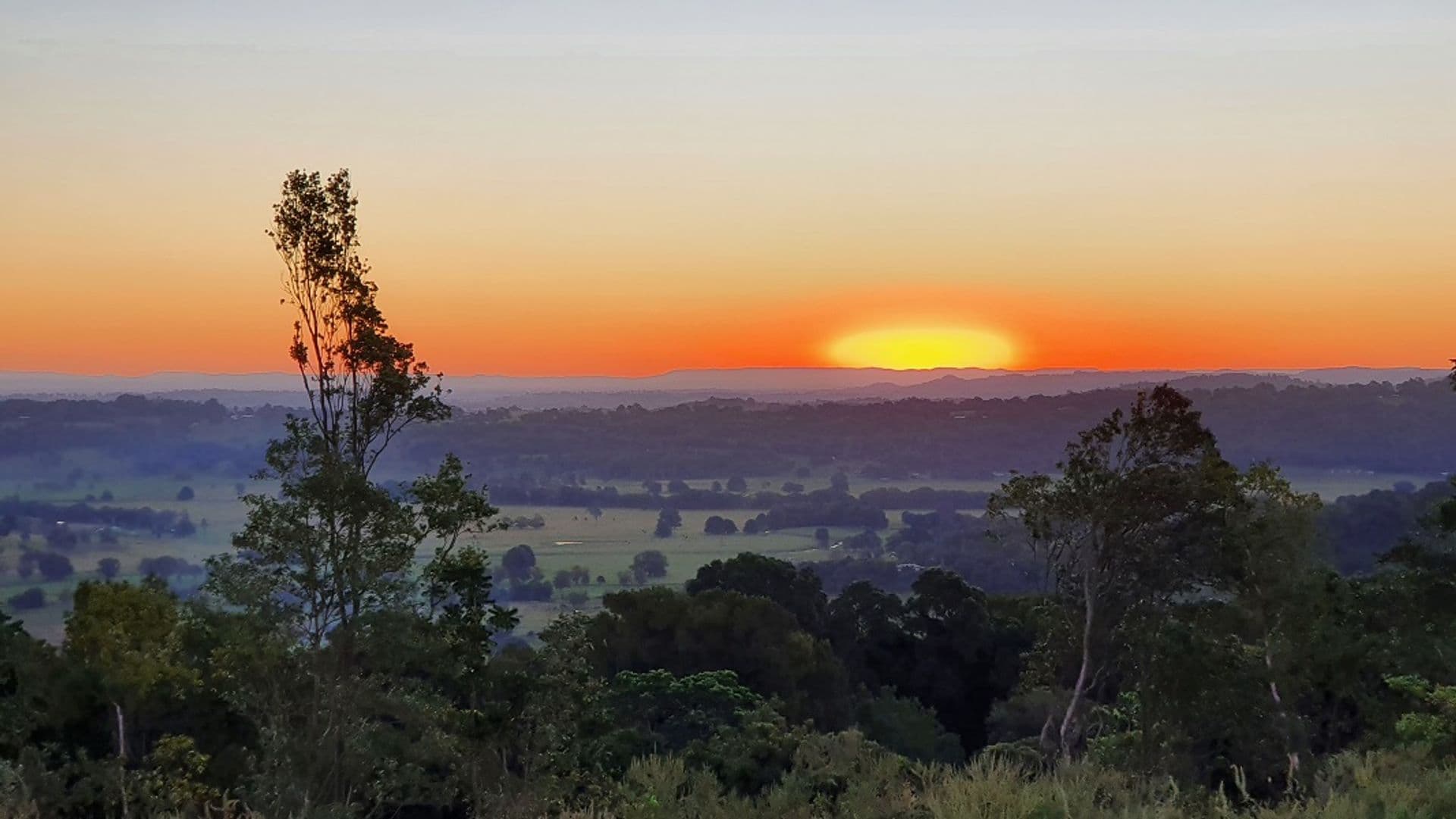 251 Cooks Lane, Dalwood, NSW, 2477, Dalwood - Thumbnail 7