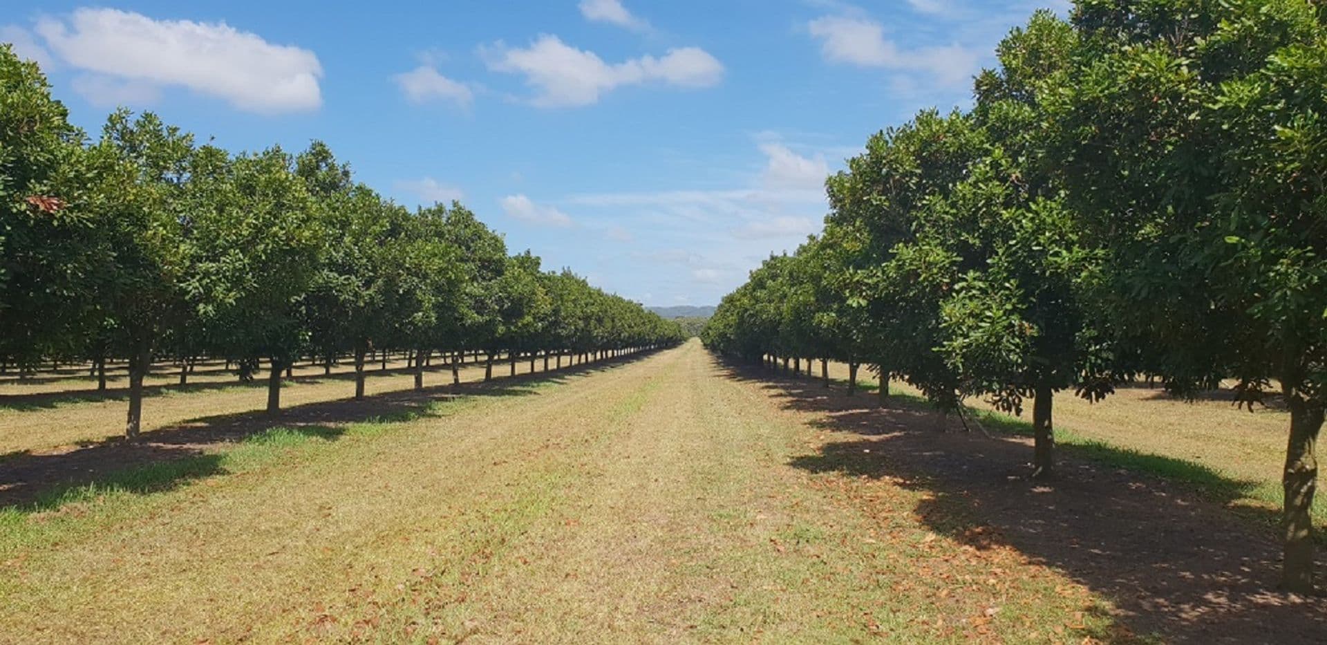 Address Withheld, Empire Vale, NSW, 2478, Empire Vale - Image 1