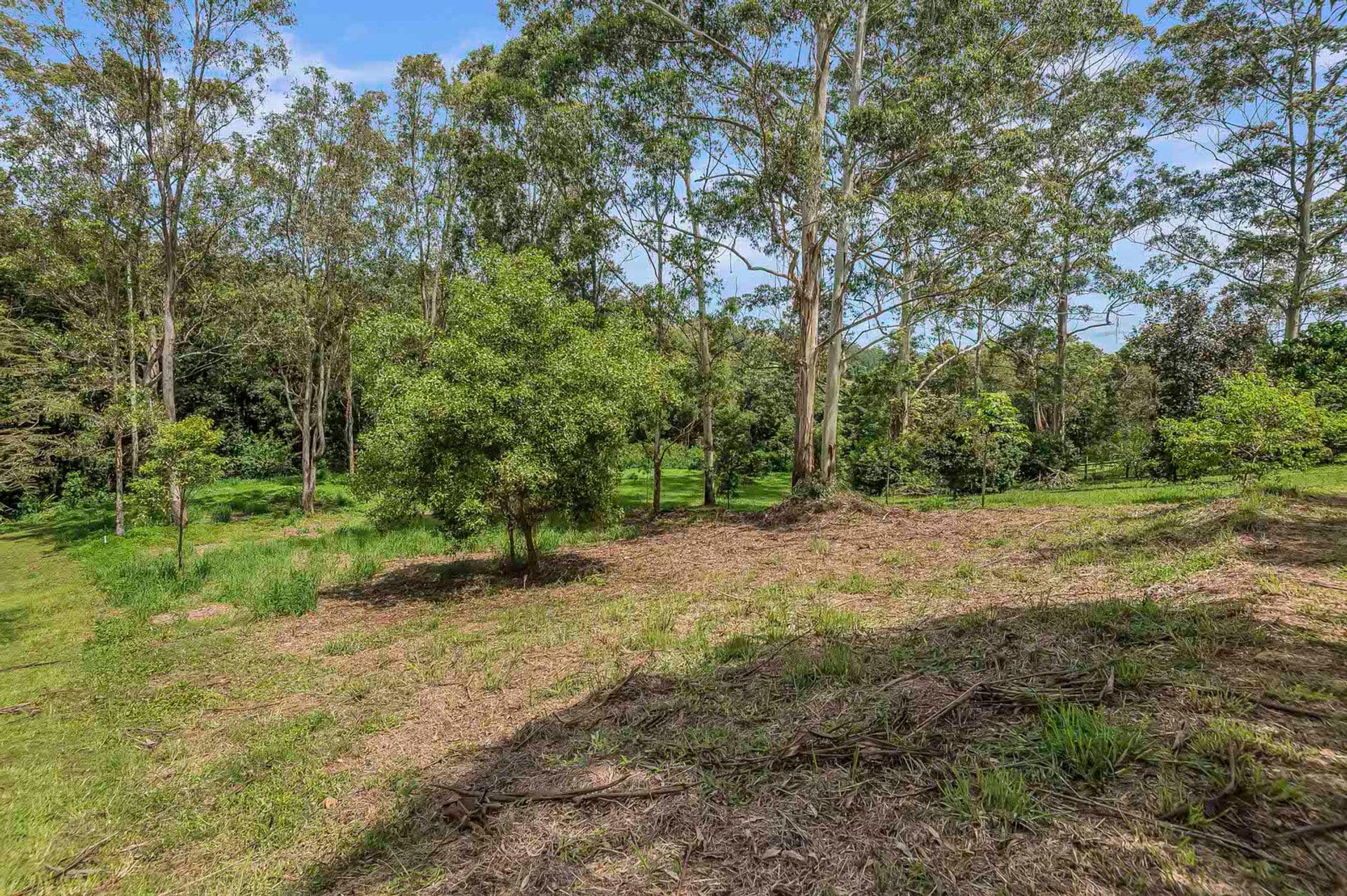 27 Forestoak Way, Goonellabah, NSW, 2480, Goonellabah - Thumbnail 4